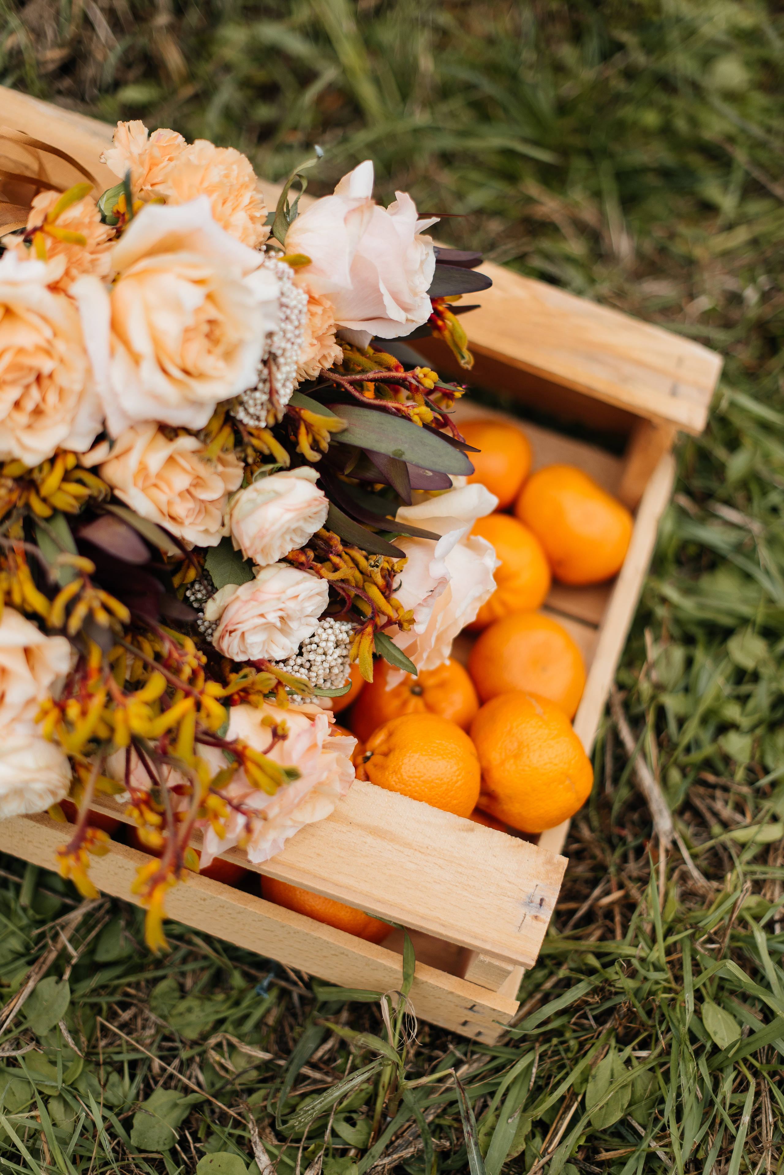 Владислав и Анастасия. Свадебный и семейный фотограф Кореновск/Краснодар