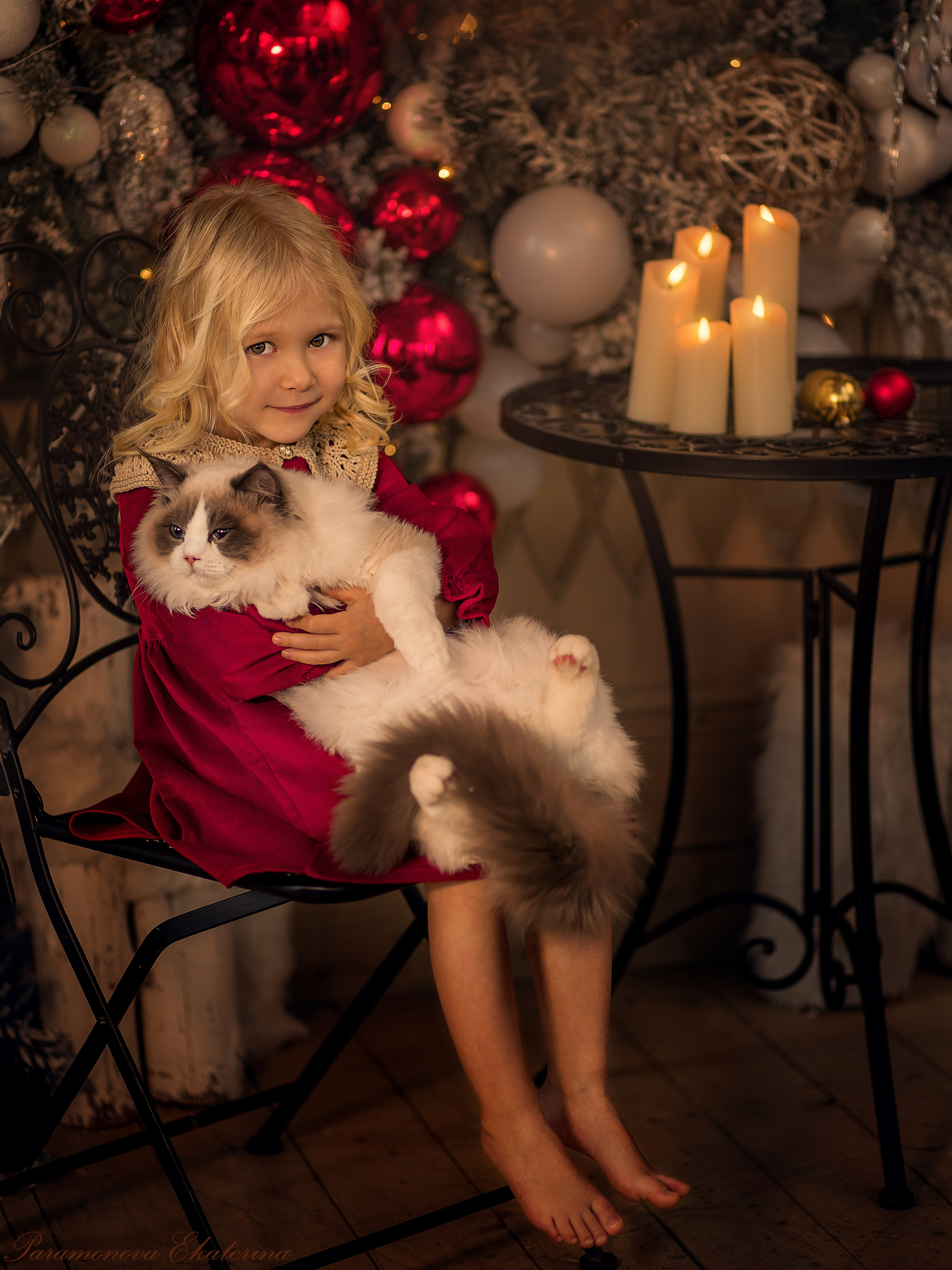 Новогодние котики. Семейный и детский фотограф В Москве Парамонова Екатерина