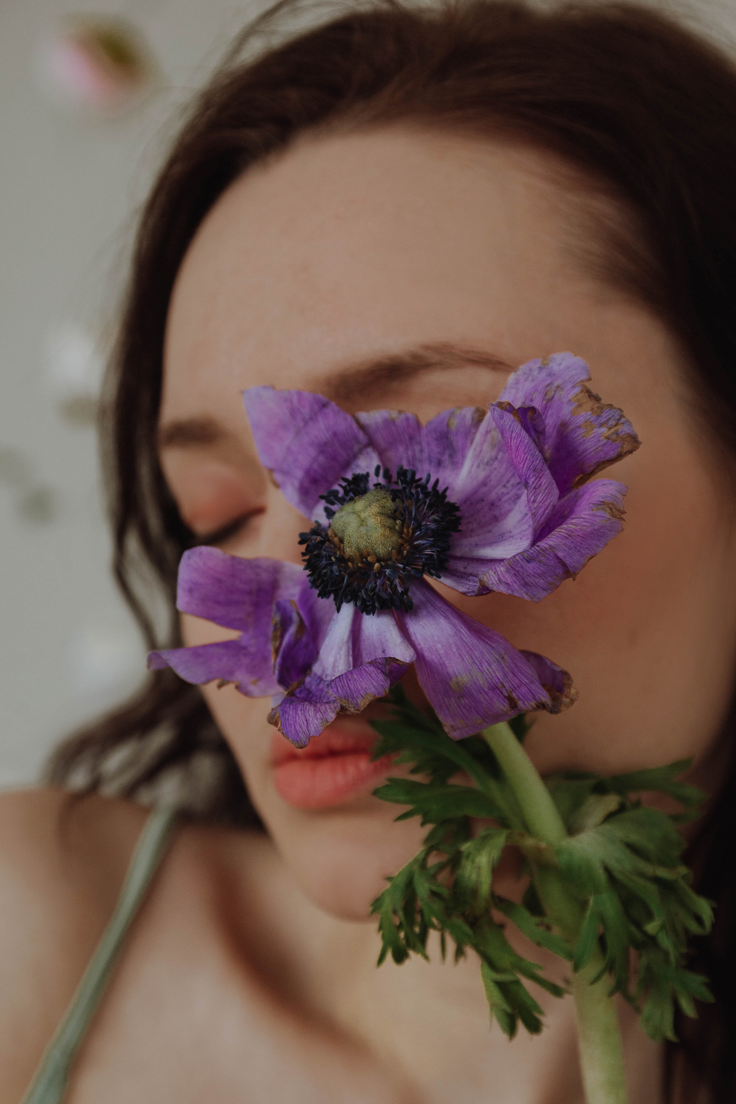 Алина в цветах. Детский| Семейный фотограф в Санкт-Петербурге Коршунова Анна