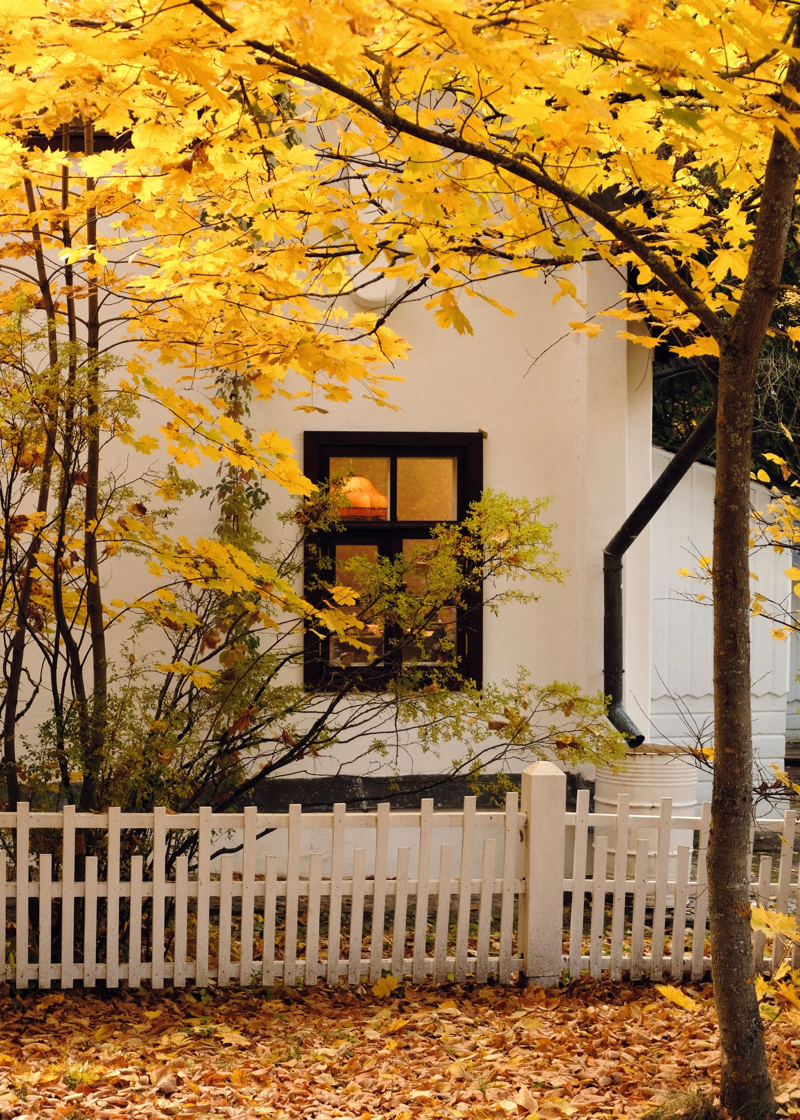 Polenovo Estate. Интерьерный архитектурный фотограф | interior architectural photographer