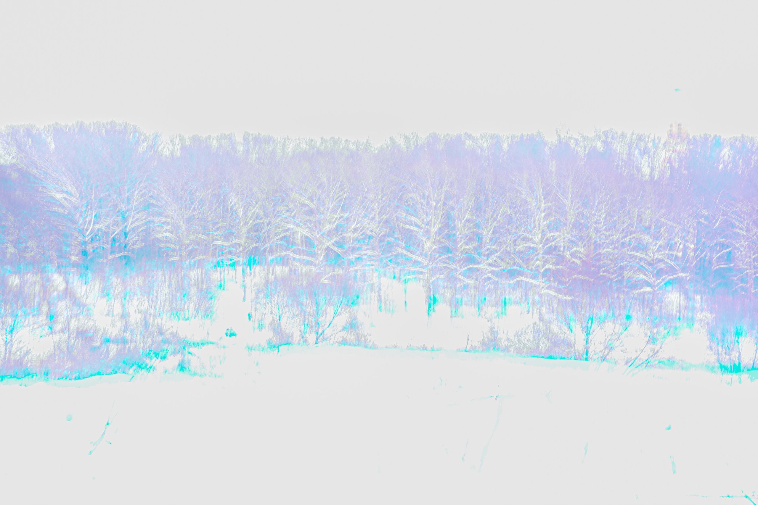 ИГГДРАСИЛЬ, 2025-2026. АННА ВЕРСО / ANNA VERSO | Визуальный художник / Visual artist