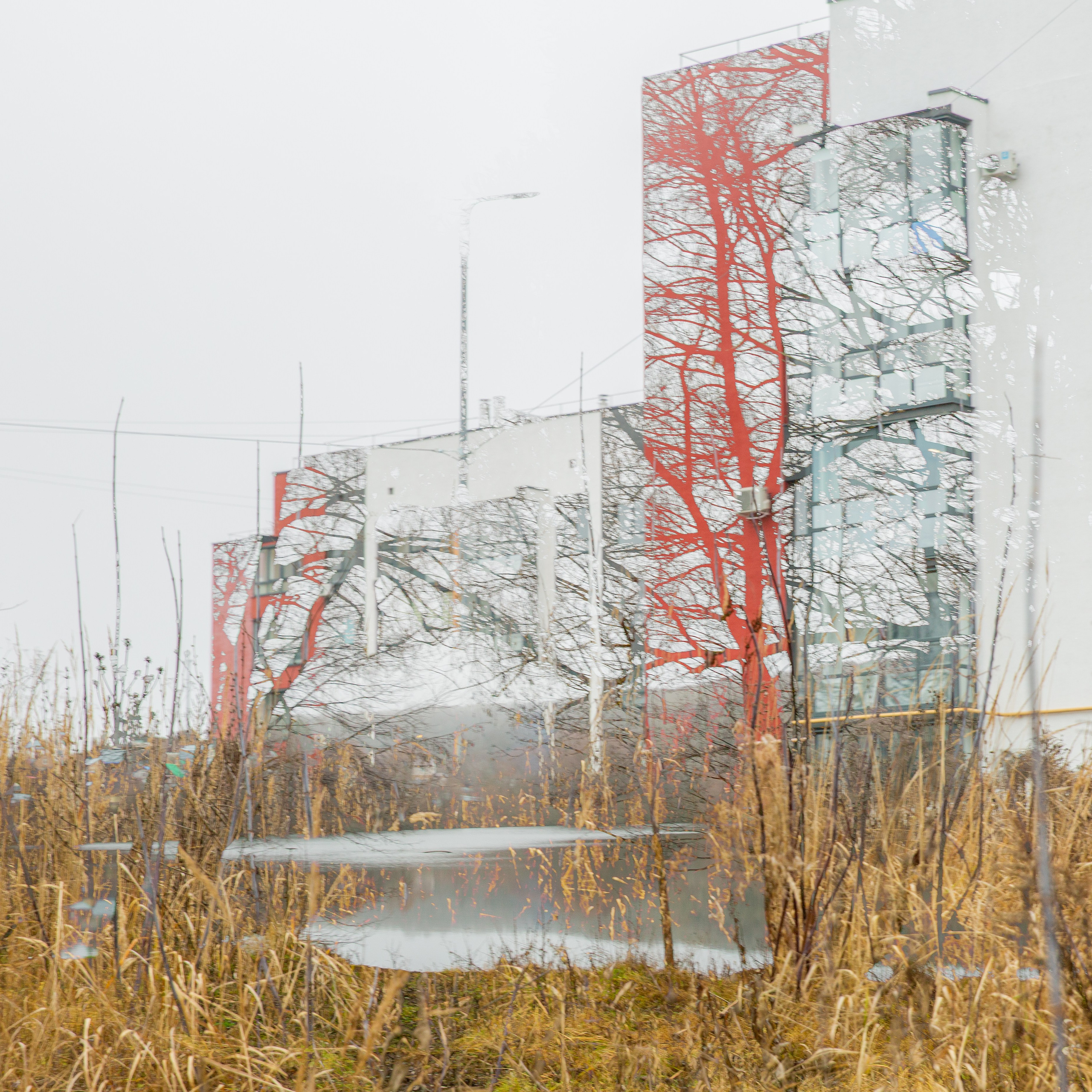 СТРОФА 2 — ЦВЕТОВЕДЕНИЕ. Photographer Anna Arzamastseva