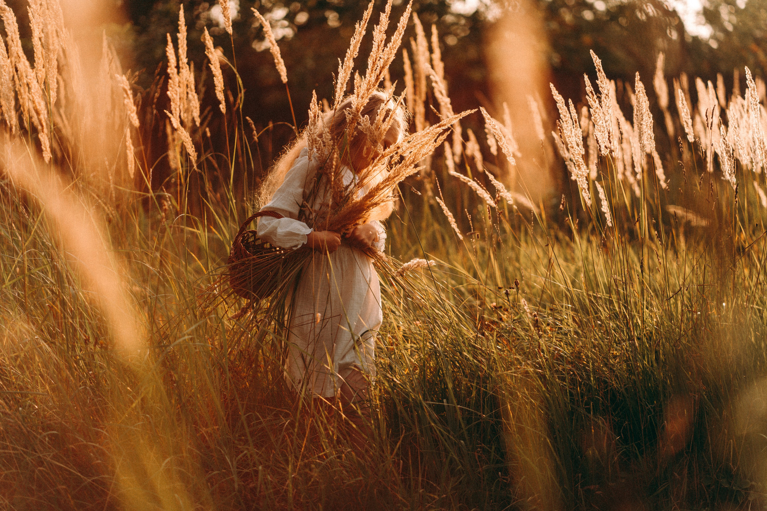 Летнее золото в волосах. Главная