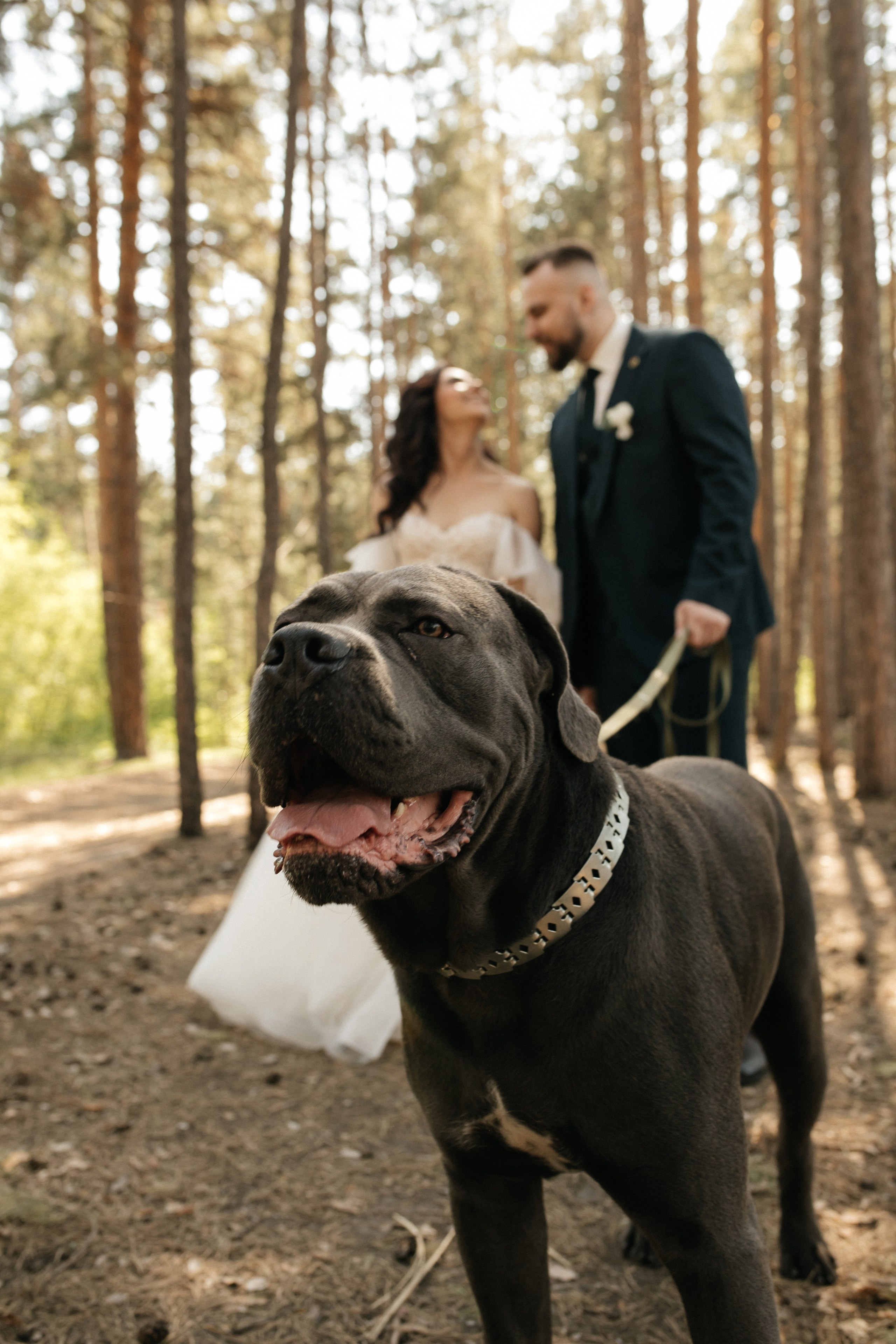 Портфолио. Свадебный и семейный фотограф Рассказова Виктория