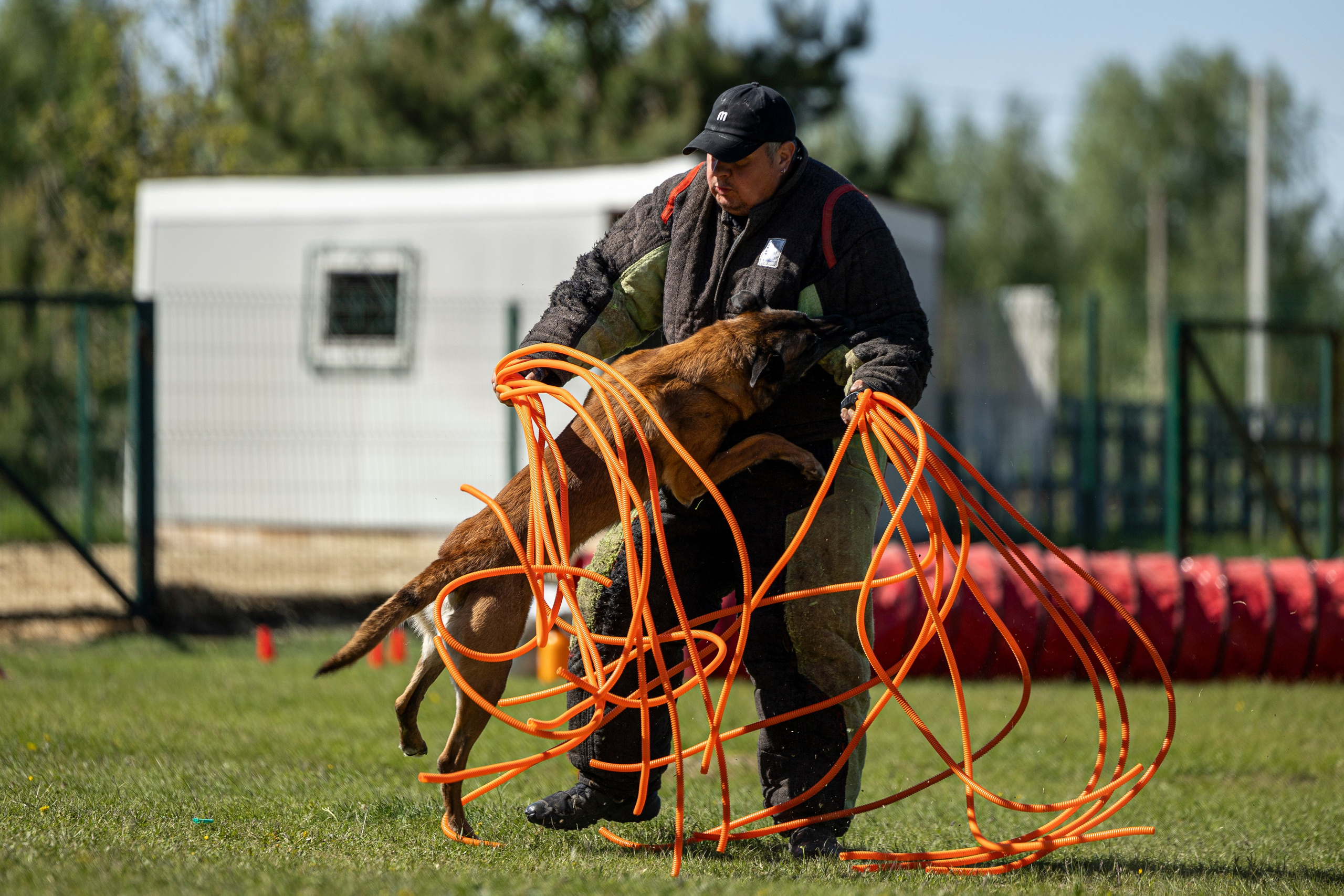 Испытания по мондьорингу в Нижнем Новгороде. Фотограф-анималист Анна Маринич