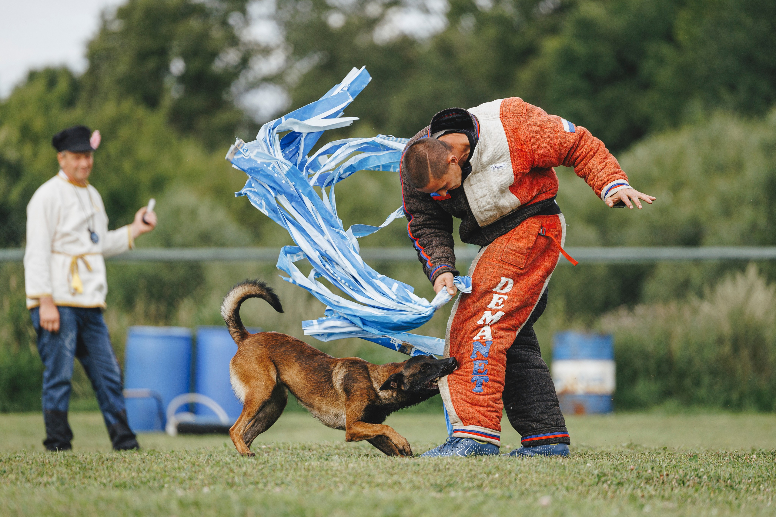 08.08.25-10.08.25 ЧР по мондьорингу г. Вологда. Фотограф-анималист Анна Маринич