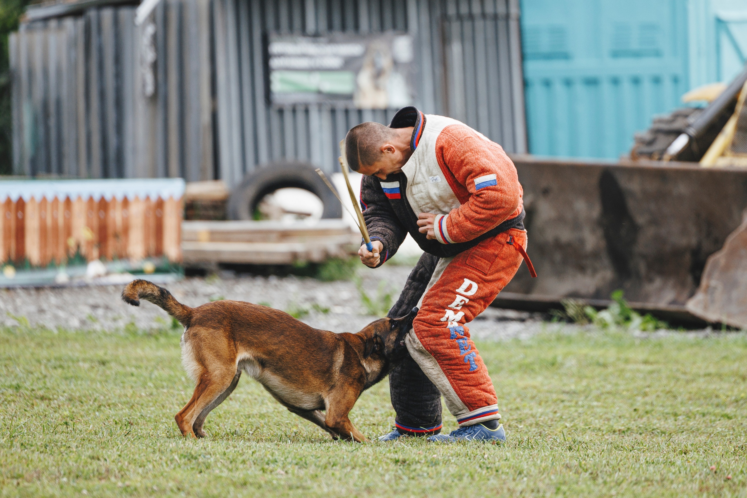 08.08.25-10.08.25 ЧР по мондьорингу г. Вологда. Фотограф-анималист Анна Маринич