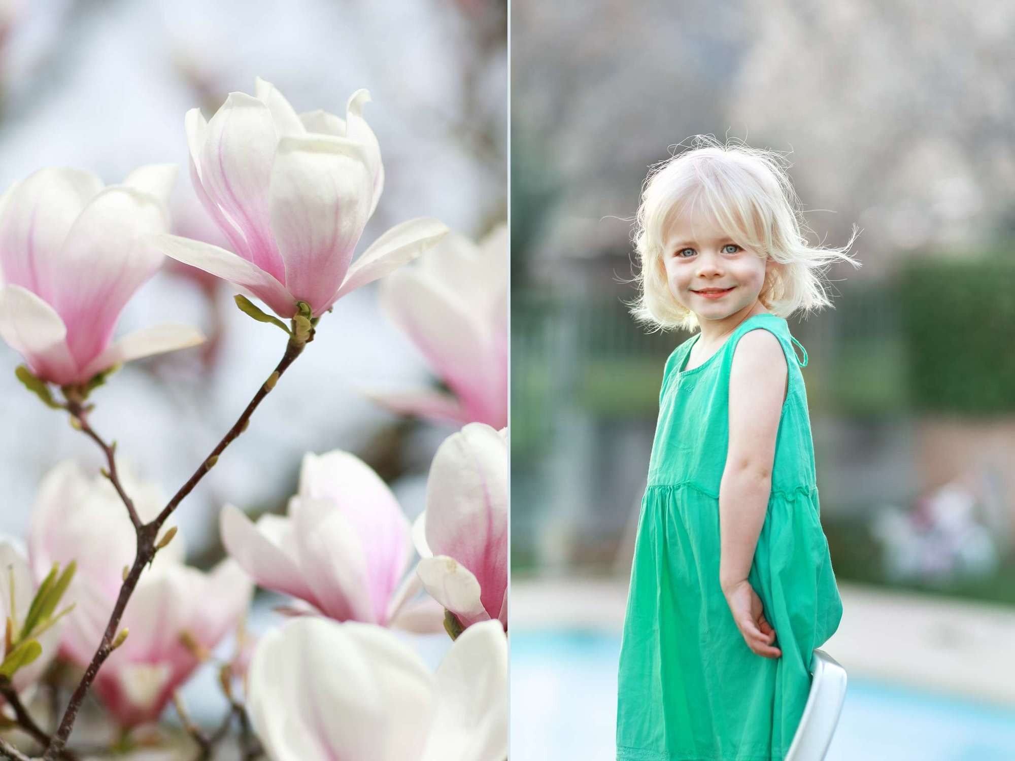 Портфолио. Главная