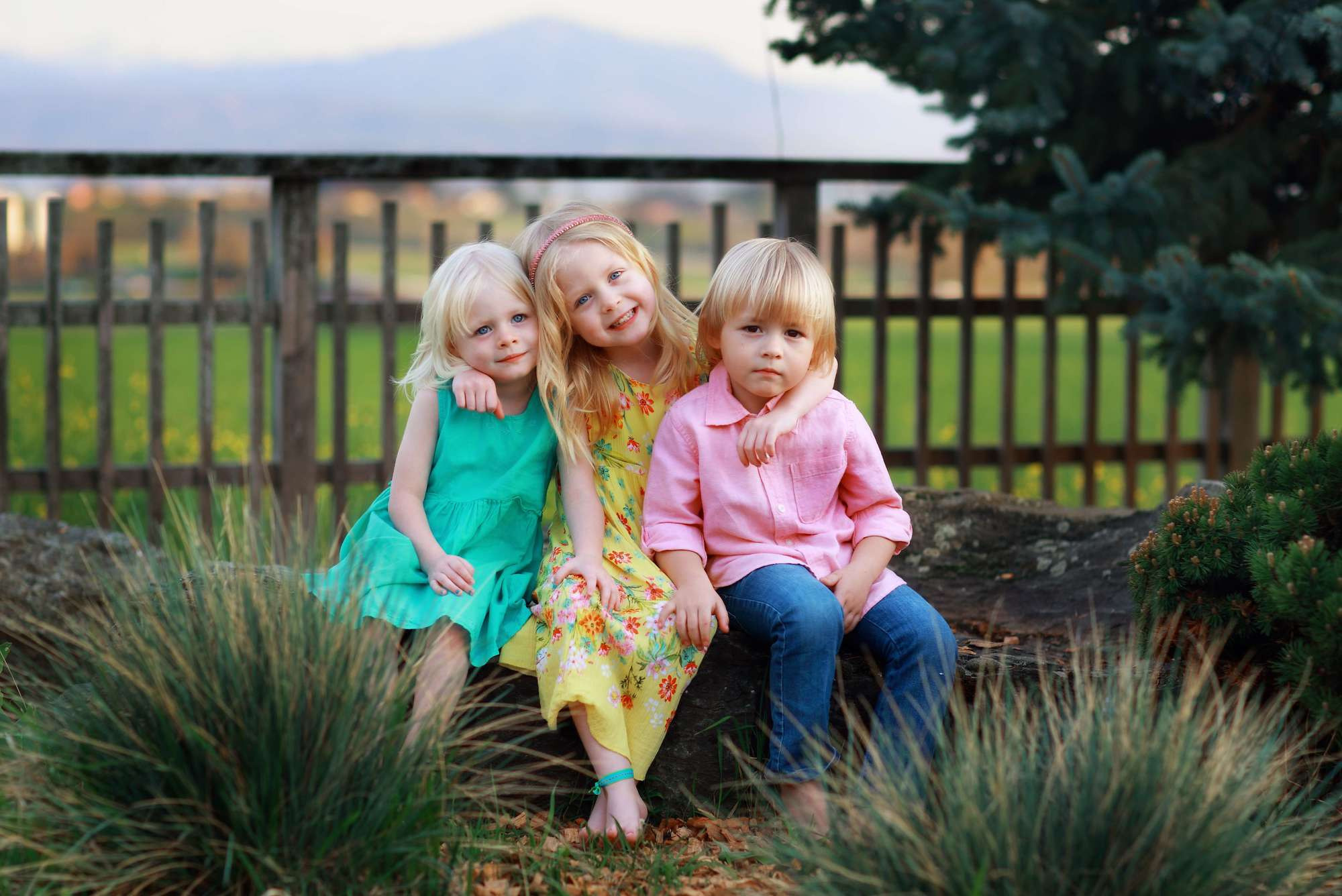 Портфолио. Главная