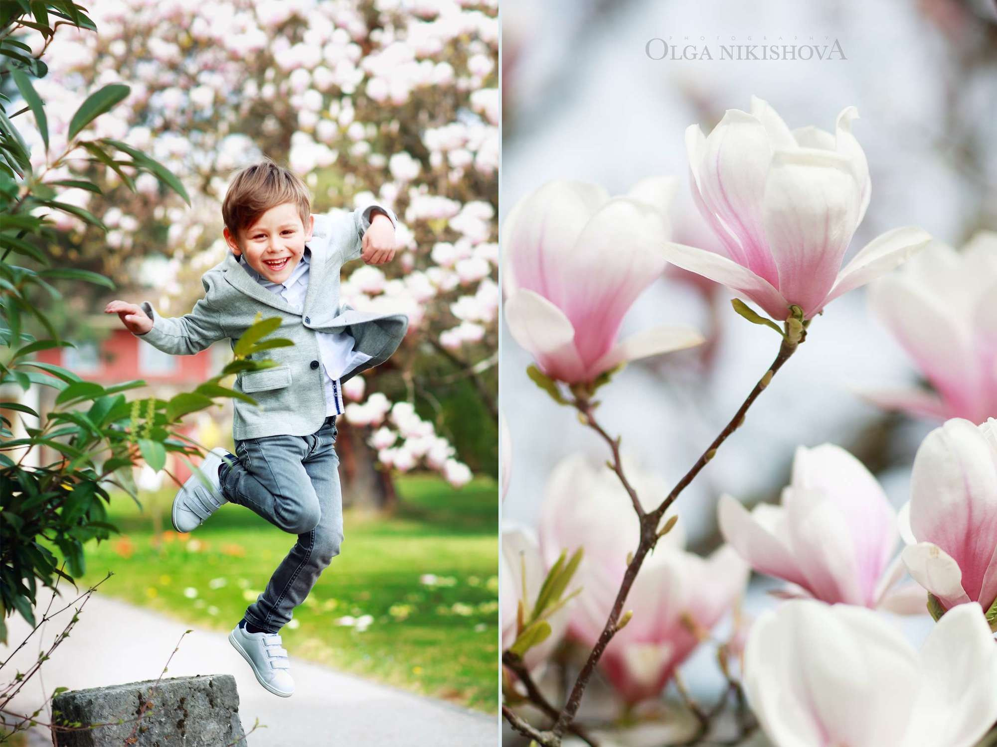 Портфолио. Главная