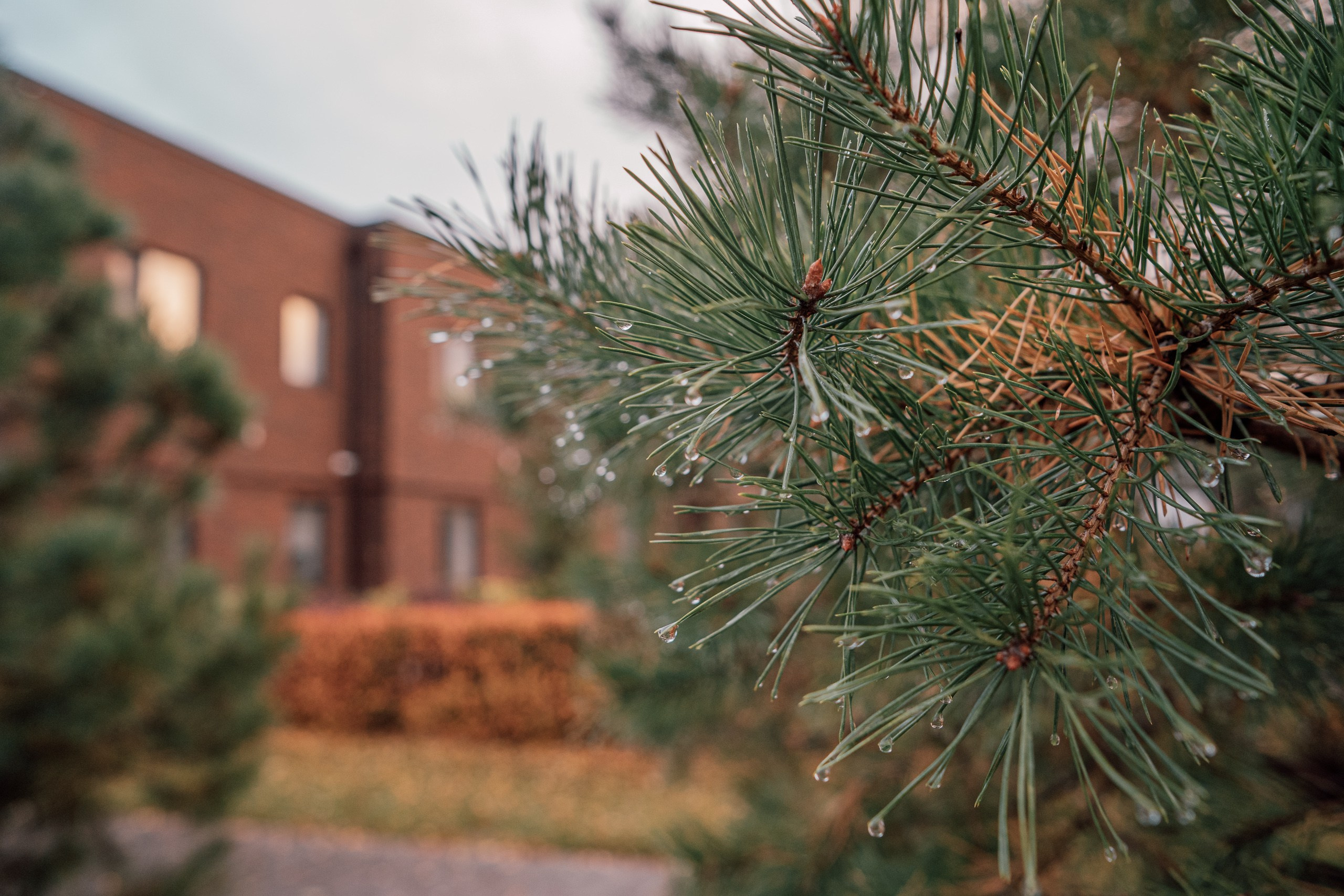 Иннополис. Фотограф Шибков Константин