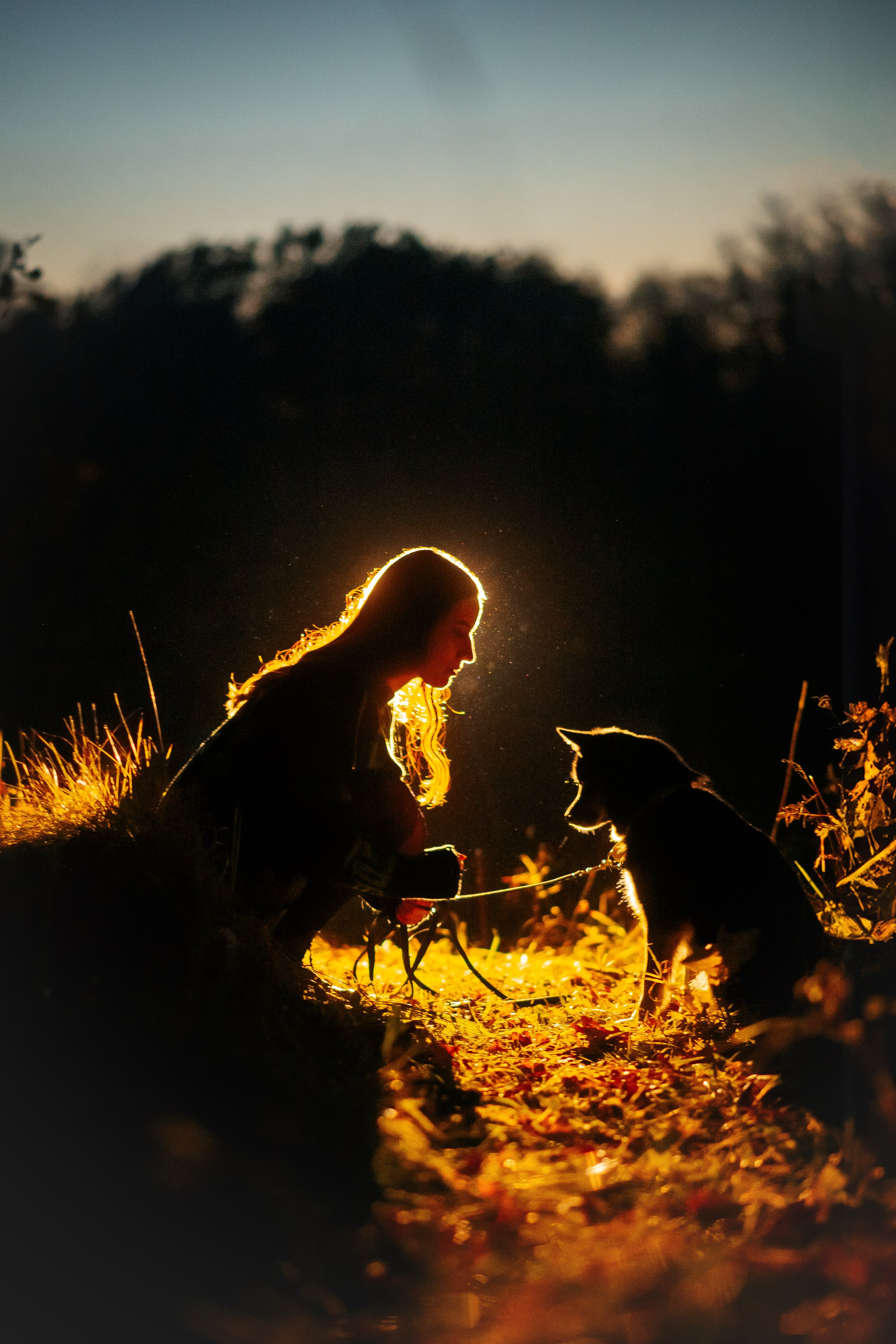 Максим, Надя, Рой и Шелби — 13.10.2024. Фотограф — Анималист | Анна Абрамова