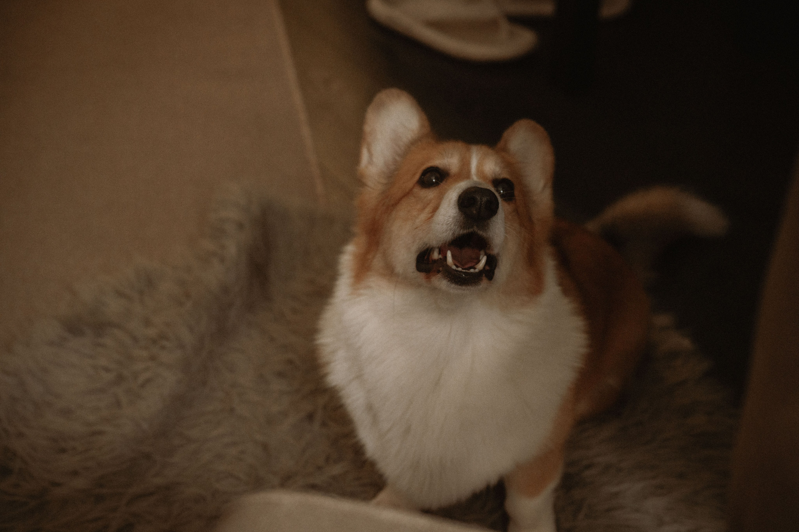 Лизавета, Никита и Мирослава. Фотограф беременности и семьи, домашние съемки, Ньюборн