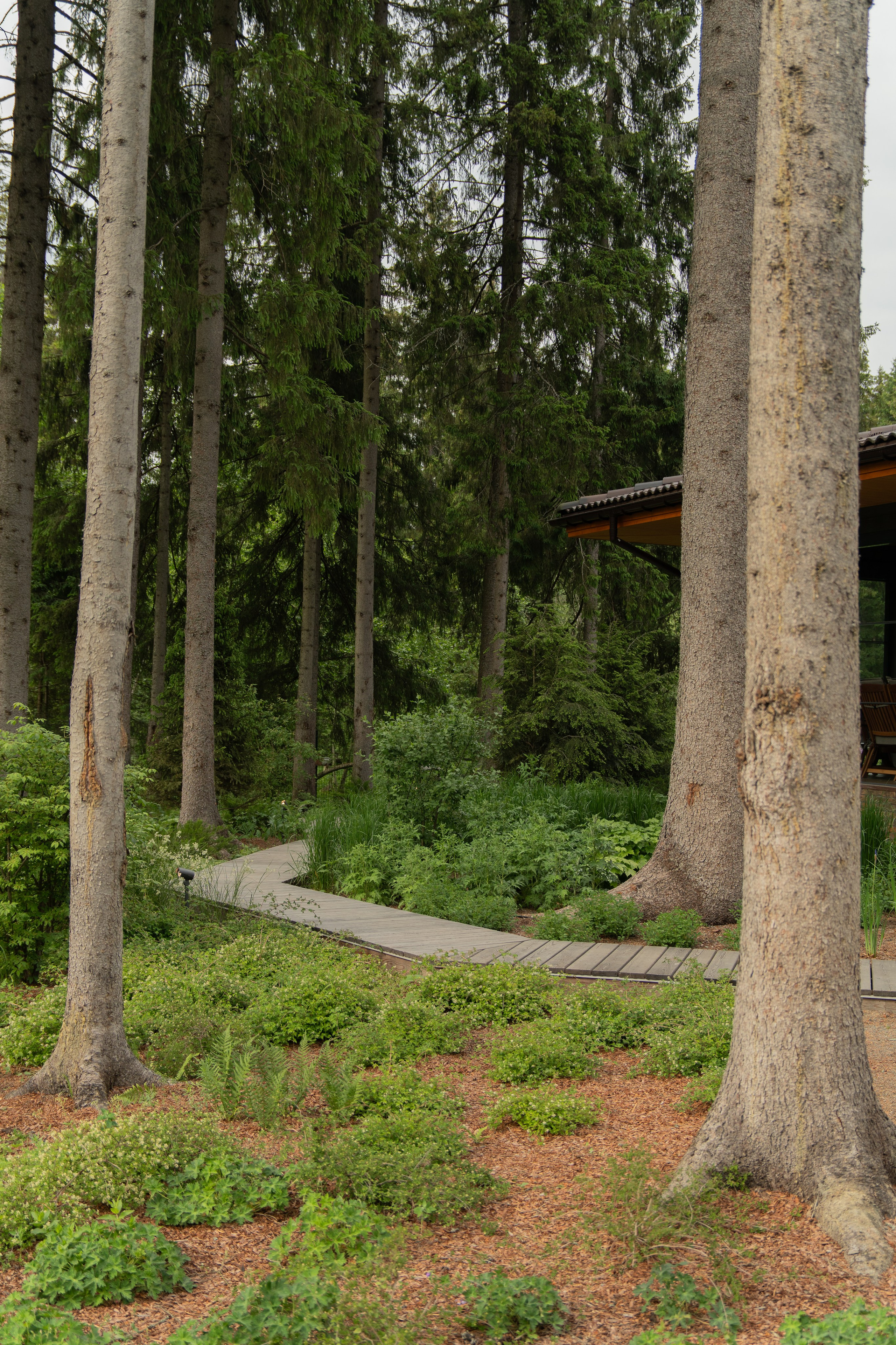 Участок в каральском стиле. Автомобильный фотограф Светлана Усова