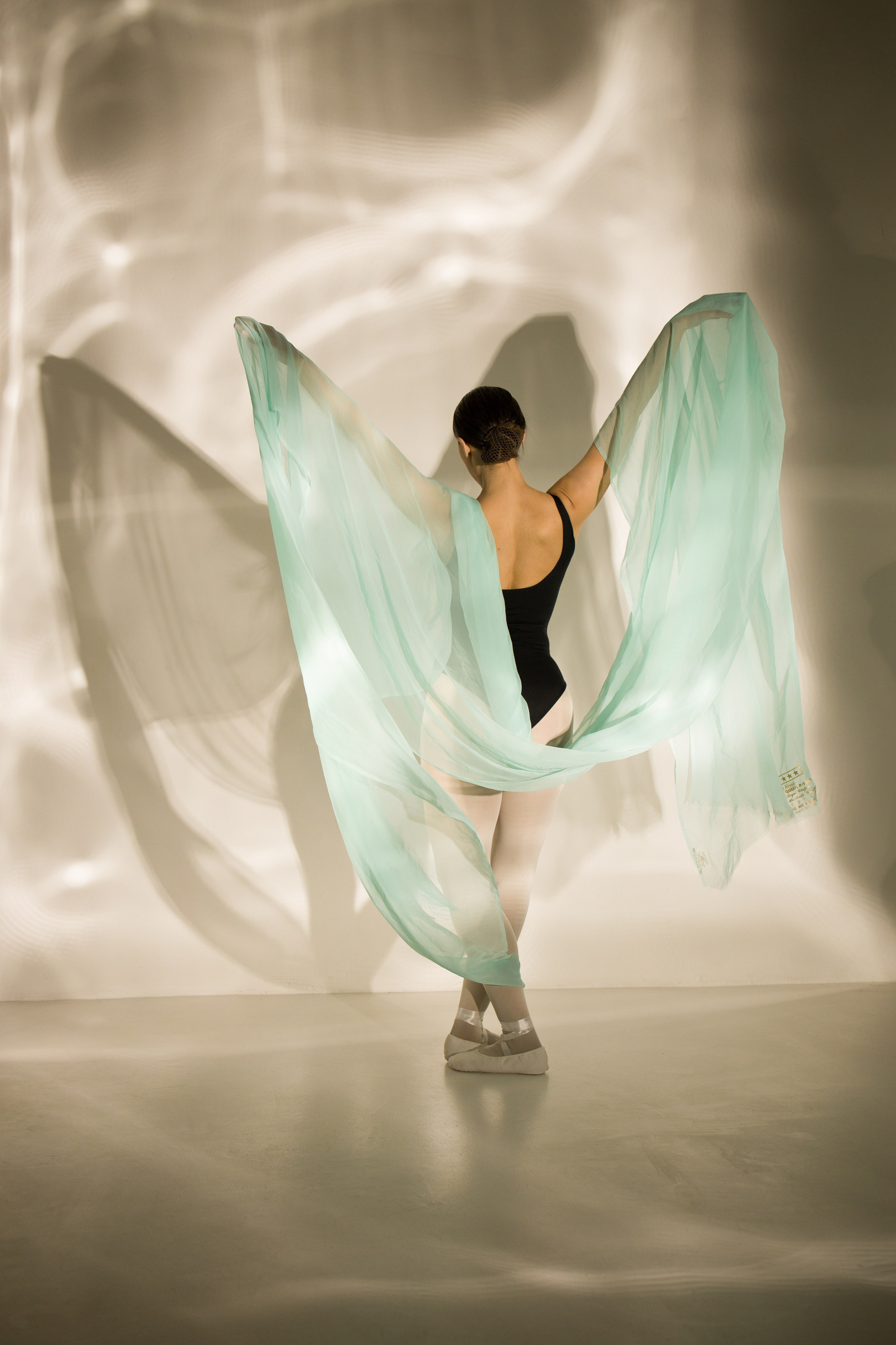 Лилия. Художественная фотография