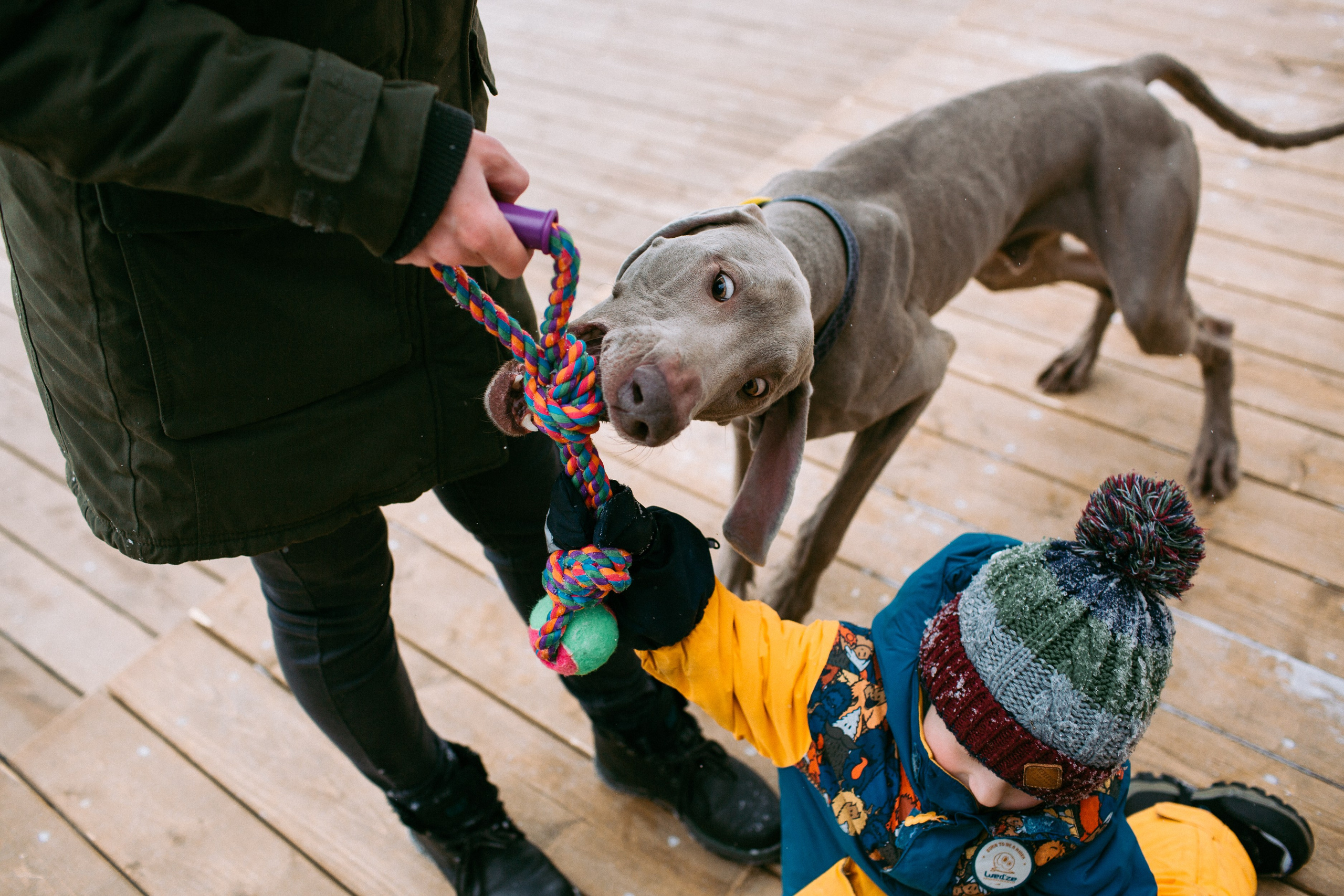 Family. Anastasia Marchenko Photography