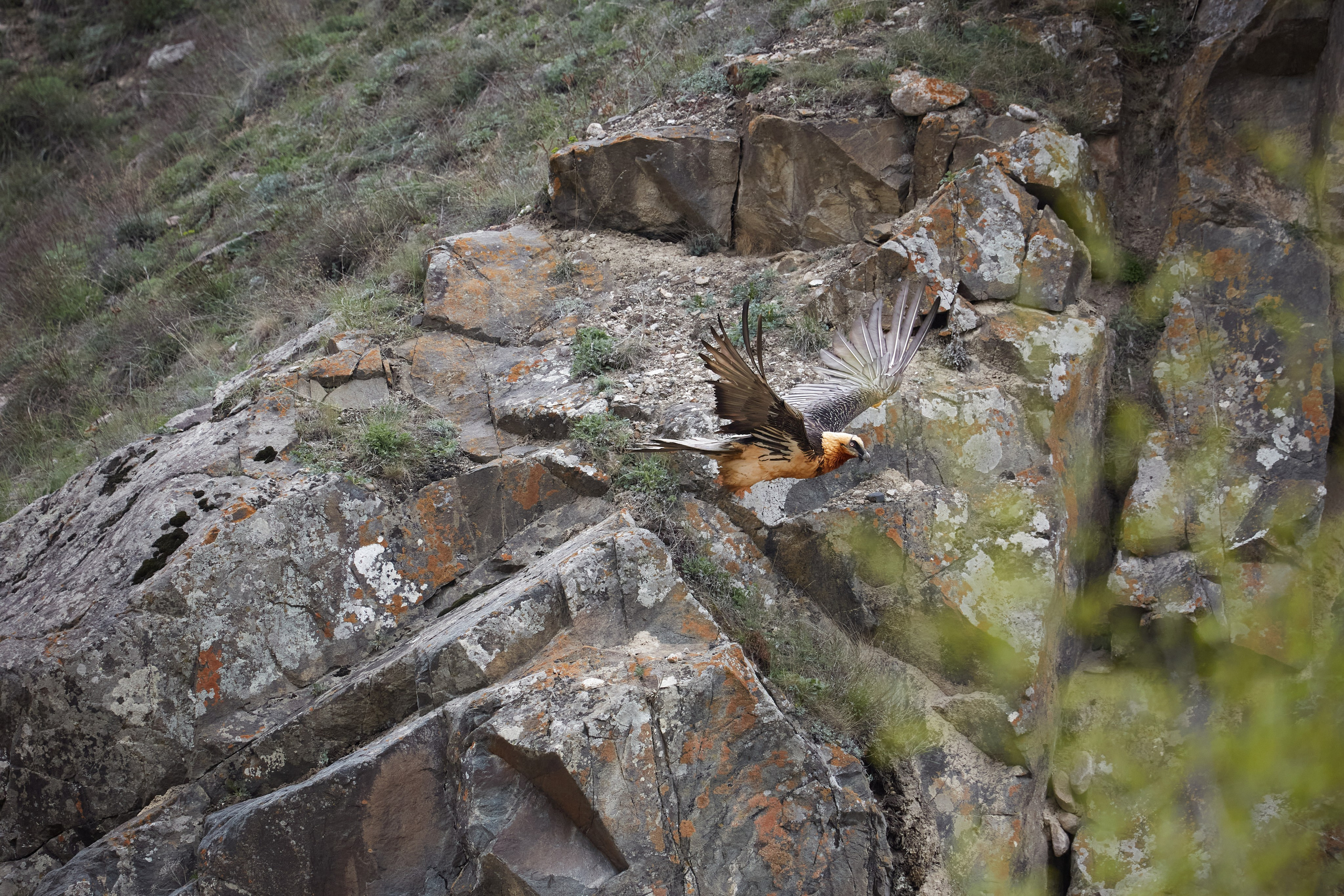 Путешествия и лайфстайл. Горный фотограф на Кавказе Никита Першин
