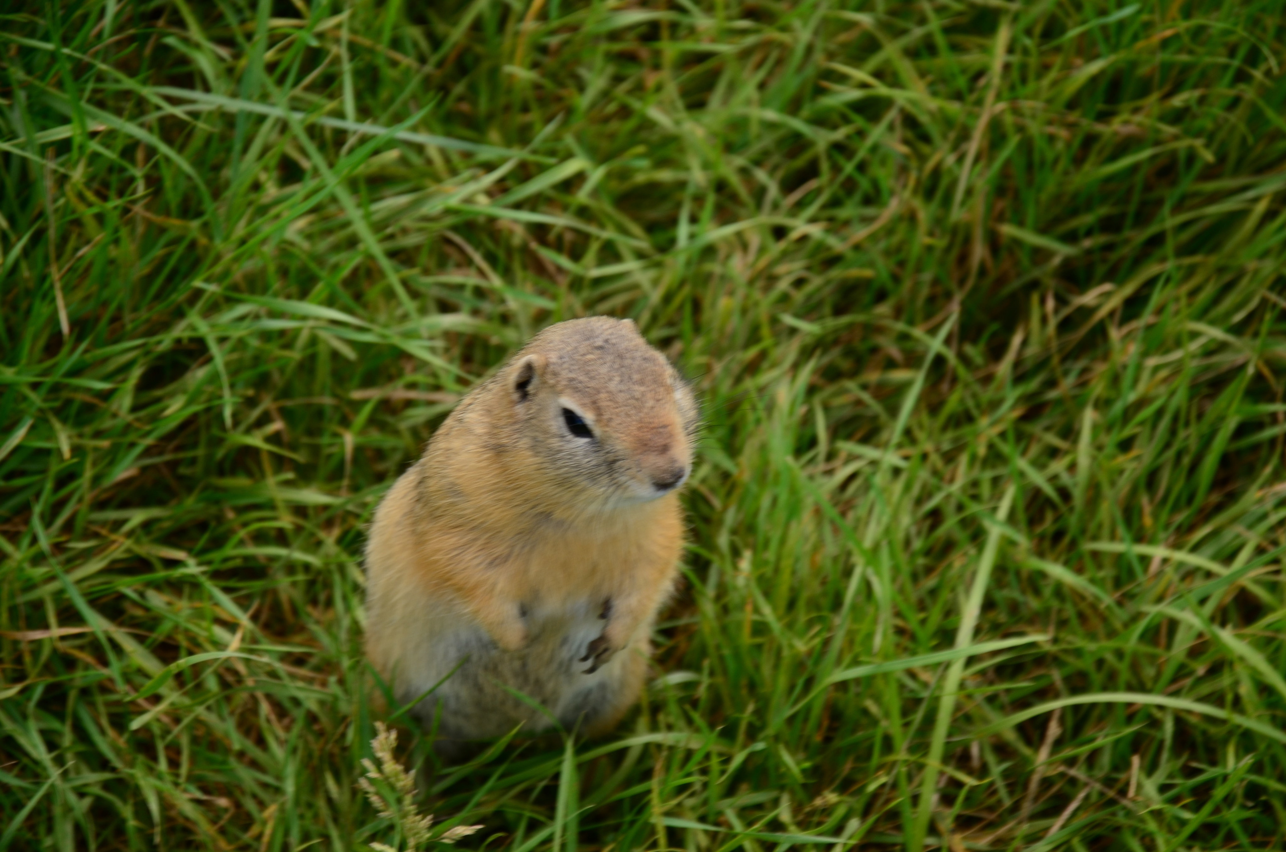 Дары природы. Фотограф viktor viktor