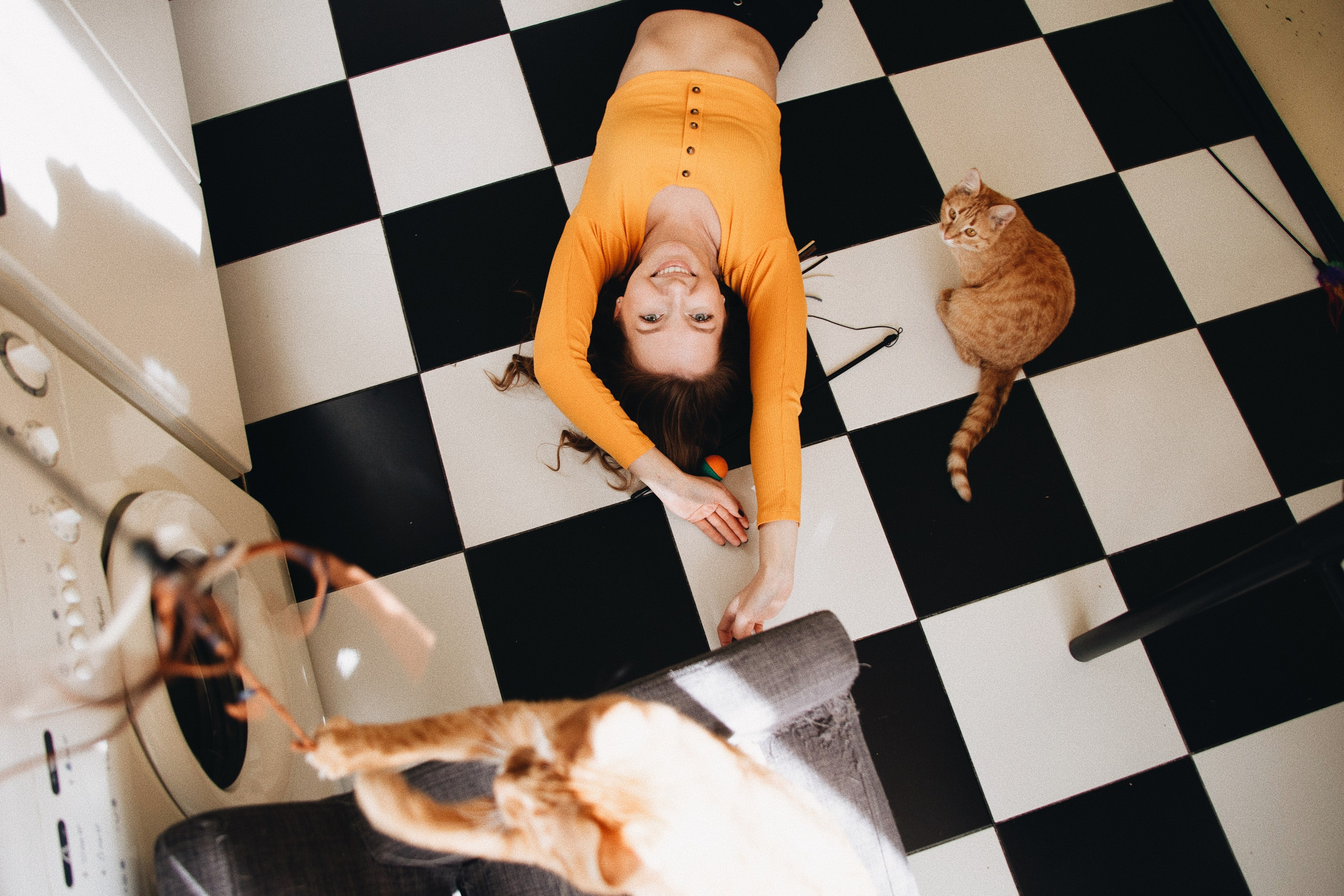 Катя, Булочка и Пирожок дома. Фотограф анималист Кристина Карпова, Москва