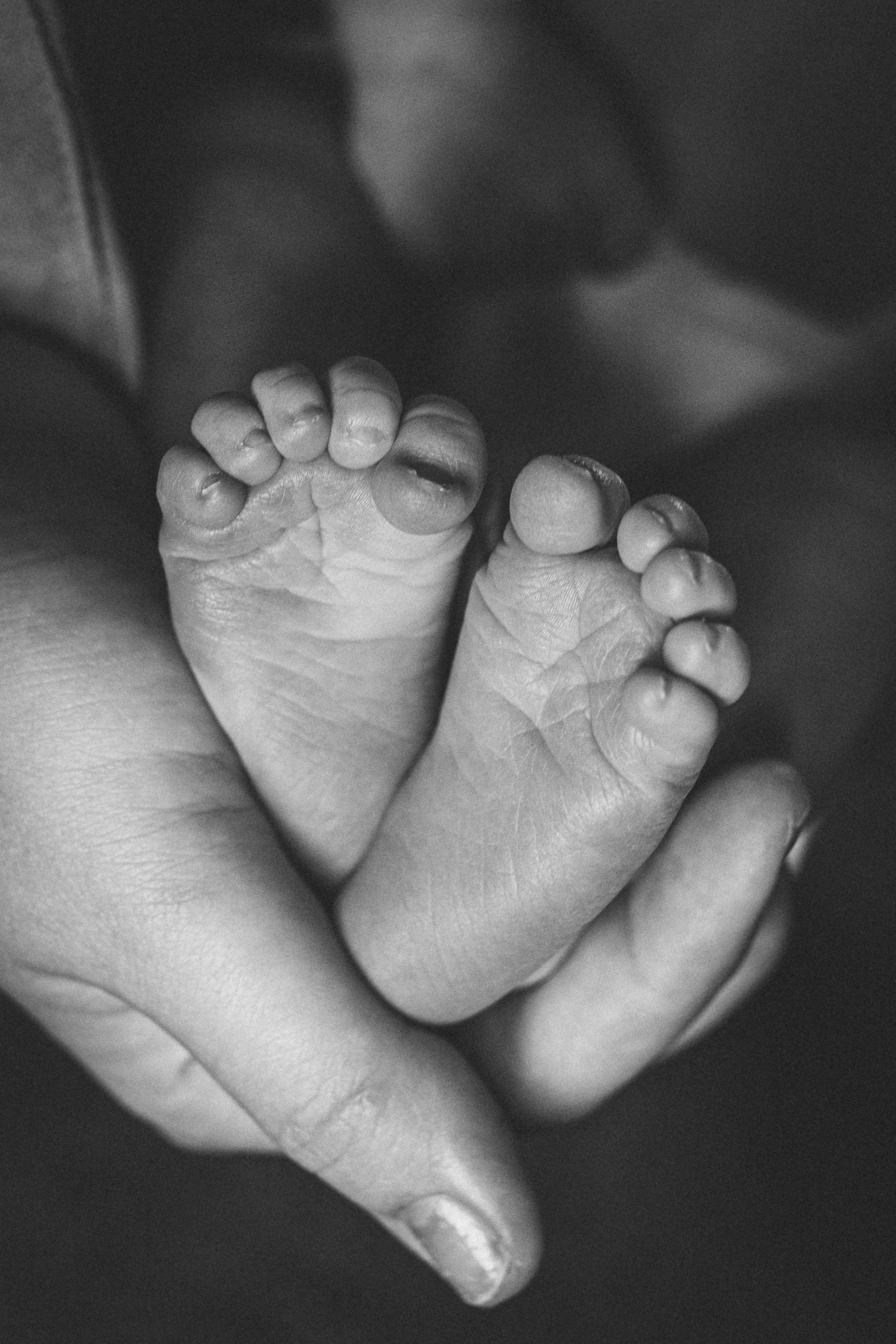 Света, Женя, Кирилл и Мышка. Семейный фотограф и фотограф на роды в Ростове-на-Дону Мухина Виктория