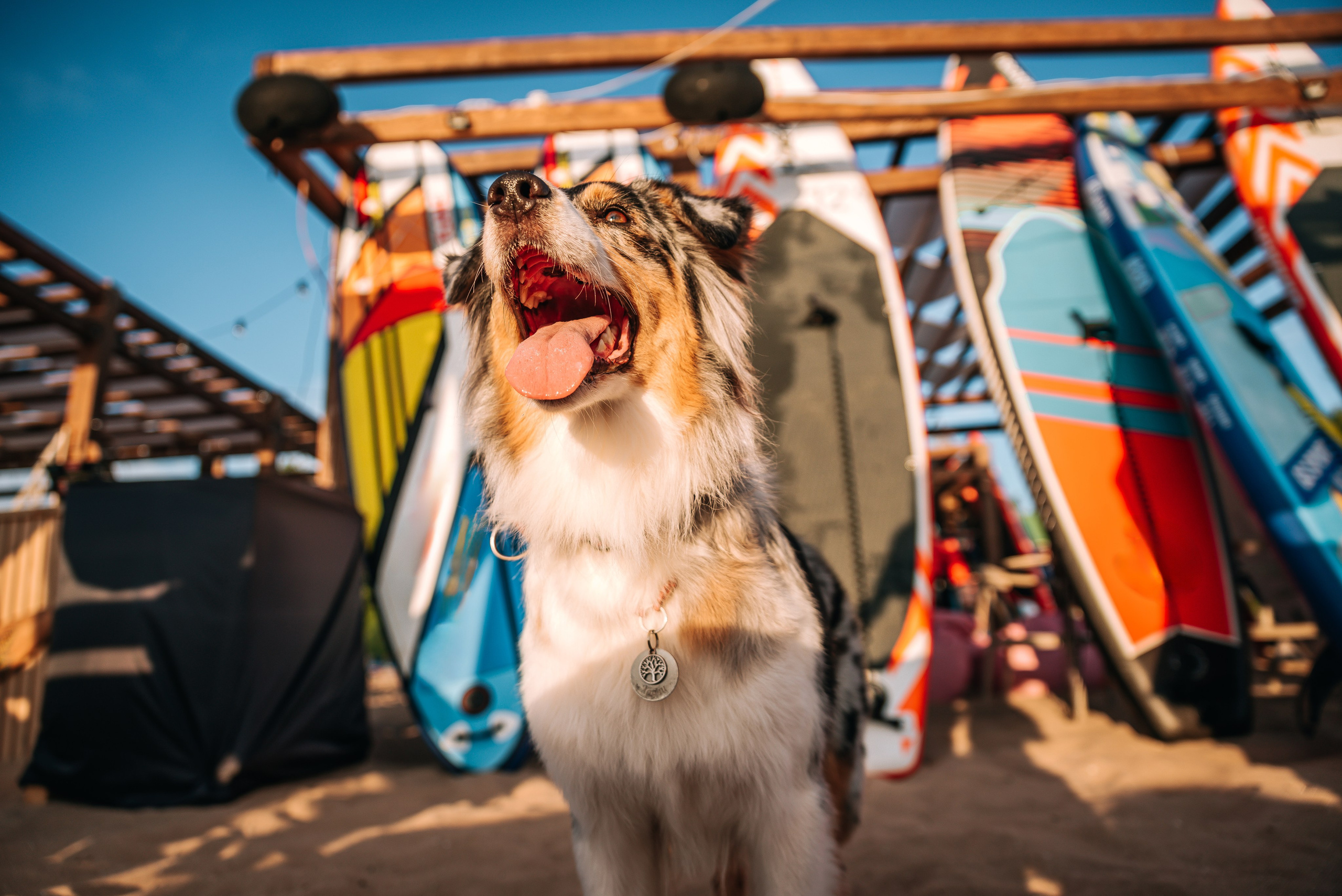 No Bad Days. Главная