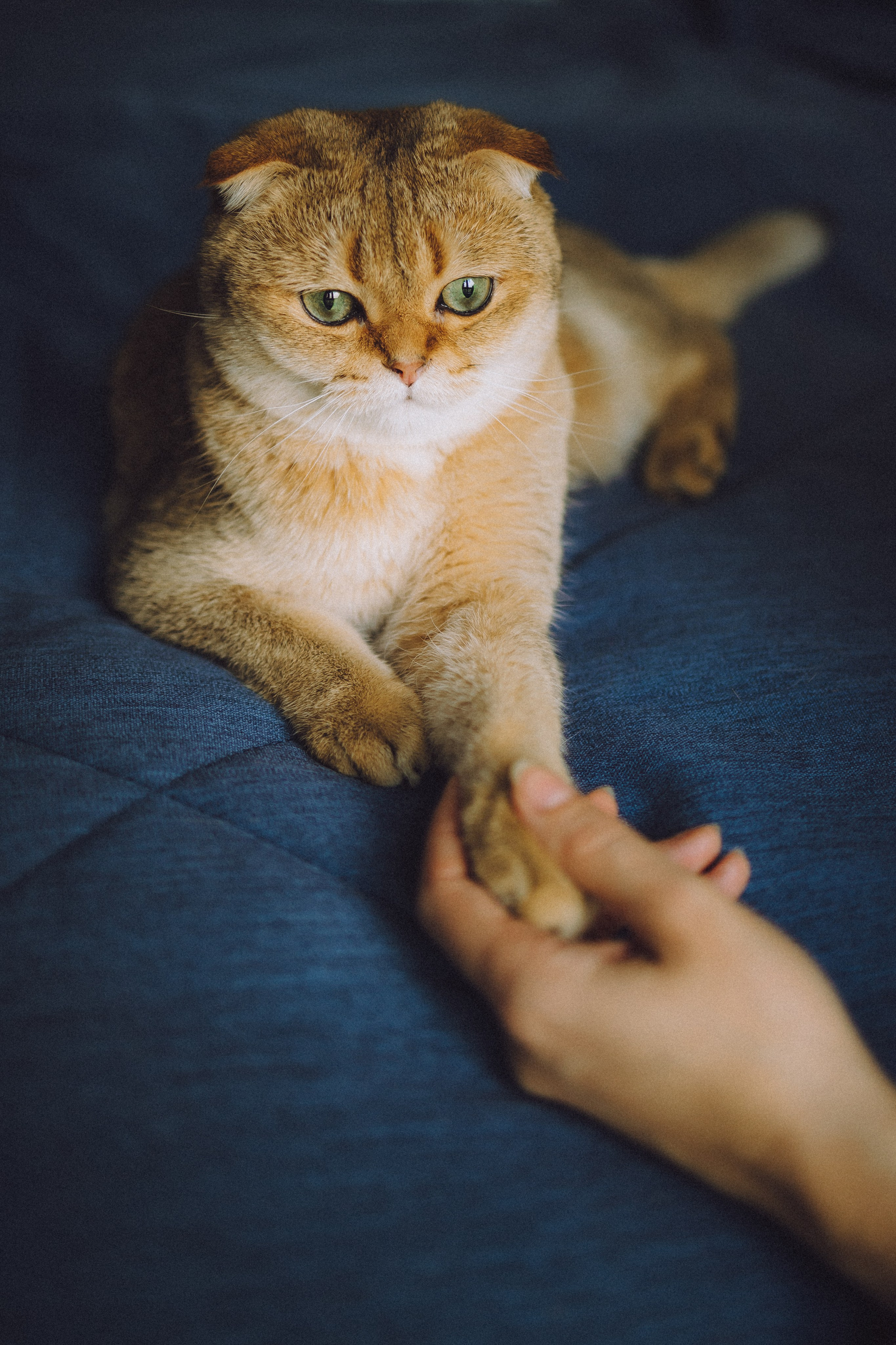 Генри и его семья