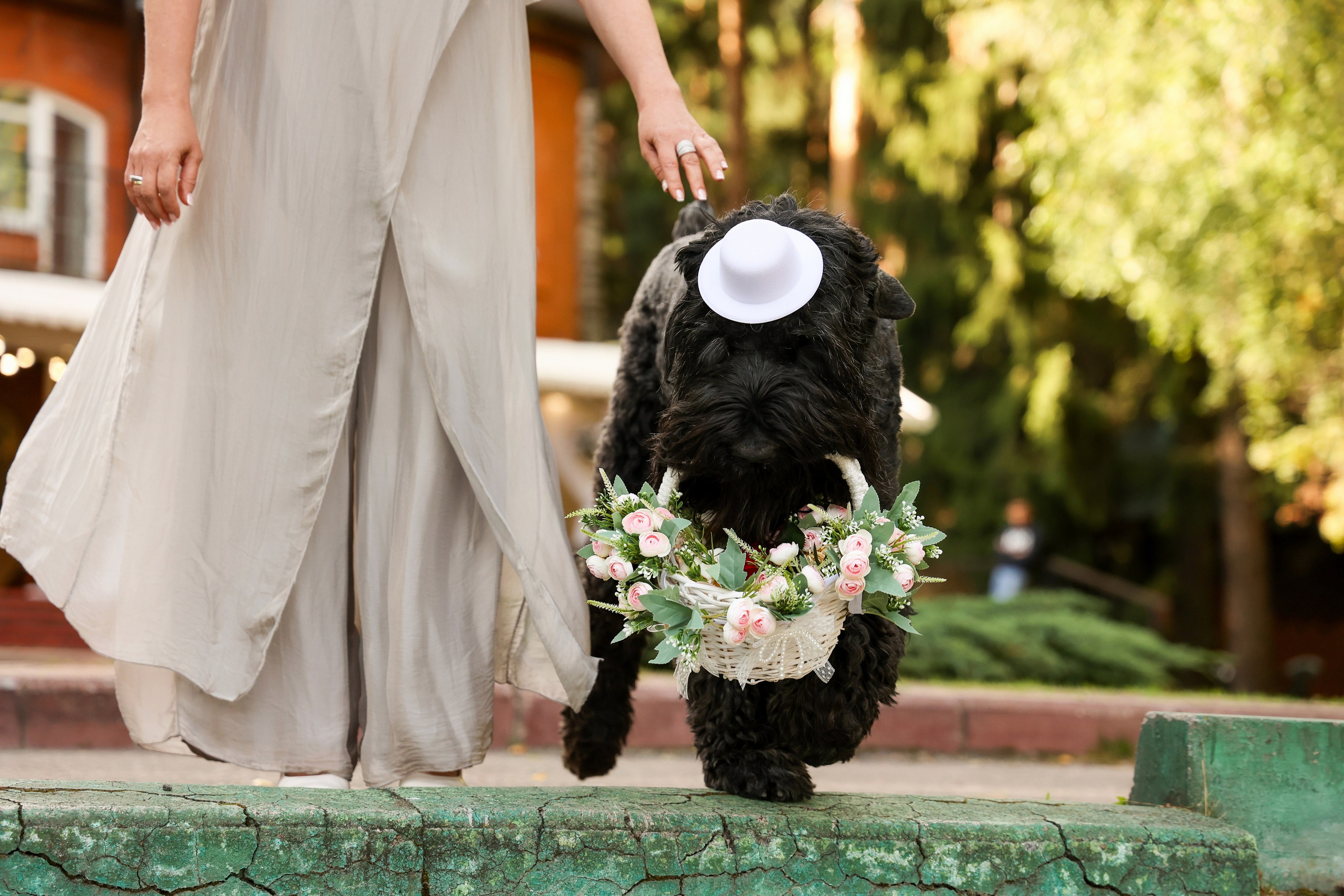 Александр & Полина. Свадебный и Event фотограф в Москве Бажина Ирина