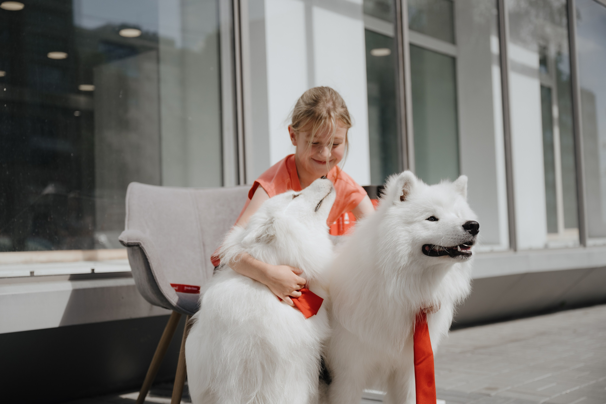 Альфа банк Карла Маркса 55. Фотограф Кристина Тумаева. Самоед Новосибирск