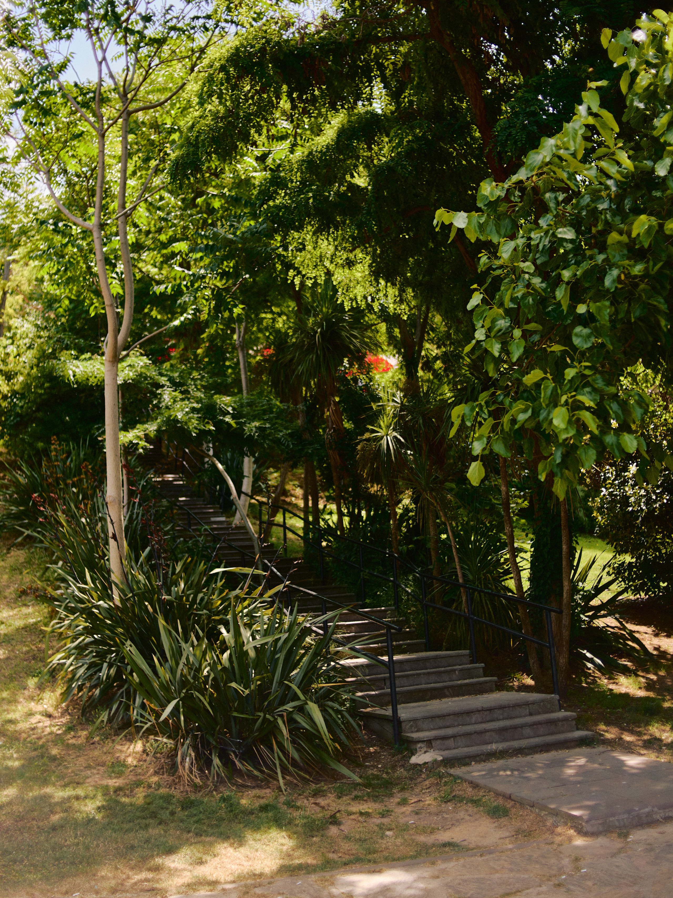 Другое 3. Jorgis Talè — photographer, kind person, teacher of arts and other mag