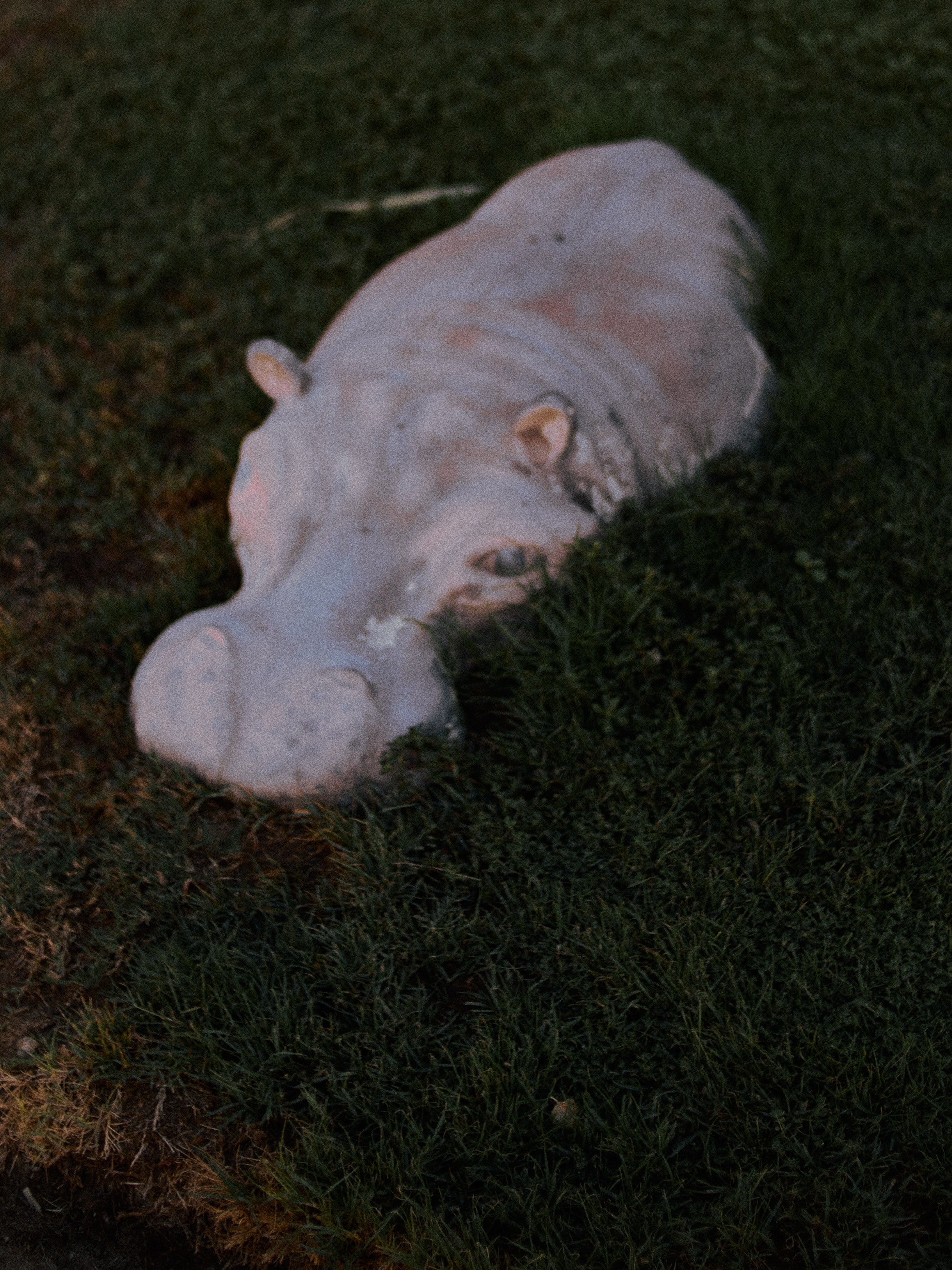 Другое 2. Jorgis Talè — photographer, kind person, teacher of arts and other mag