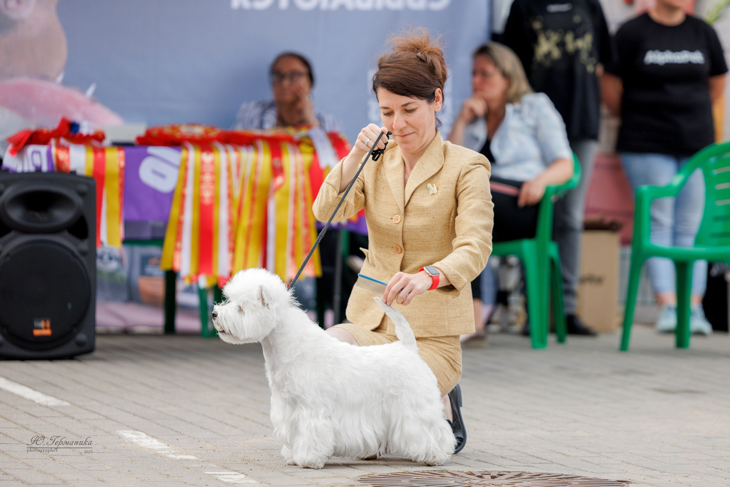 Калининград 25-27.07 Волгоград 1-3.08 2025. Фотограф-анималист Юлия Германика