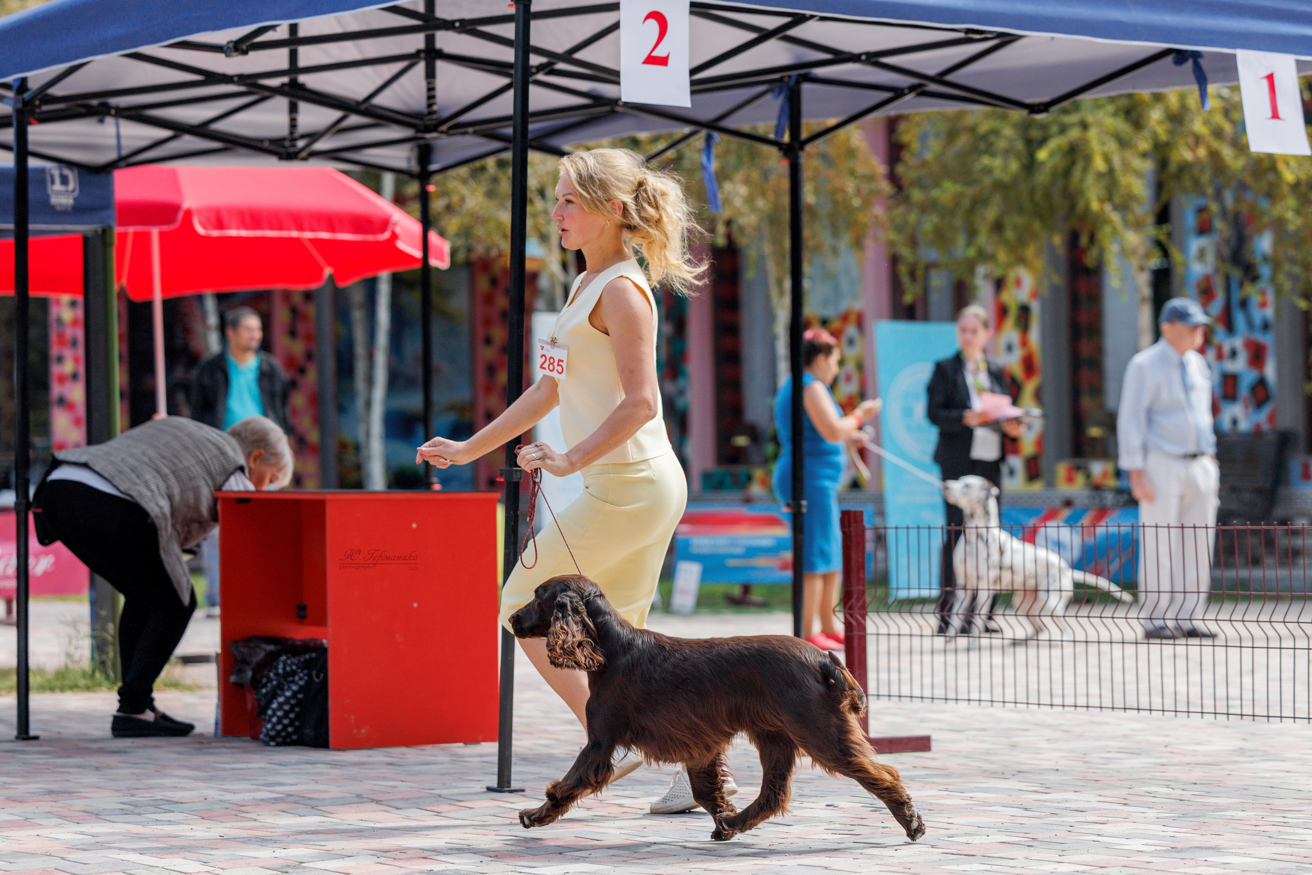 Ташкент 3хCACIB 3-5.10.2025. Фотограф-анималист Юлия Германика