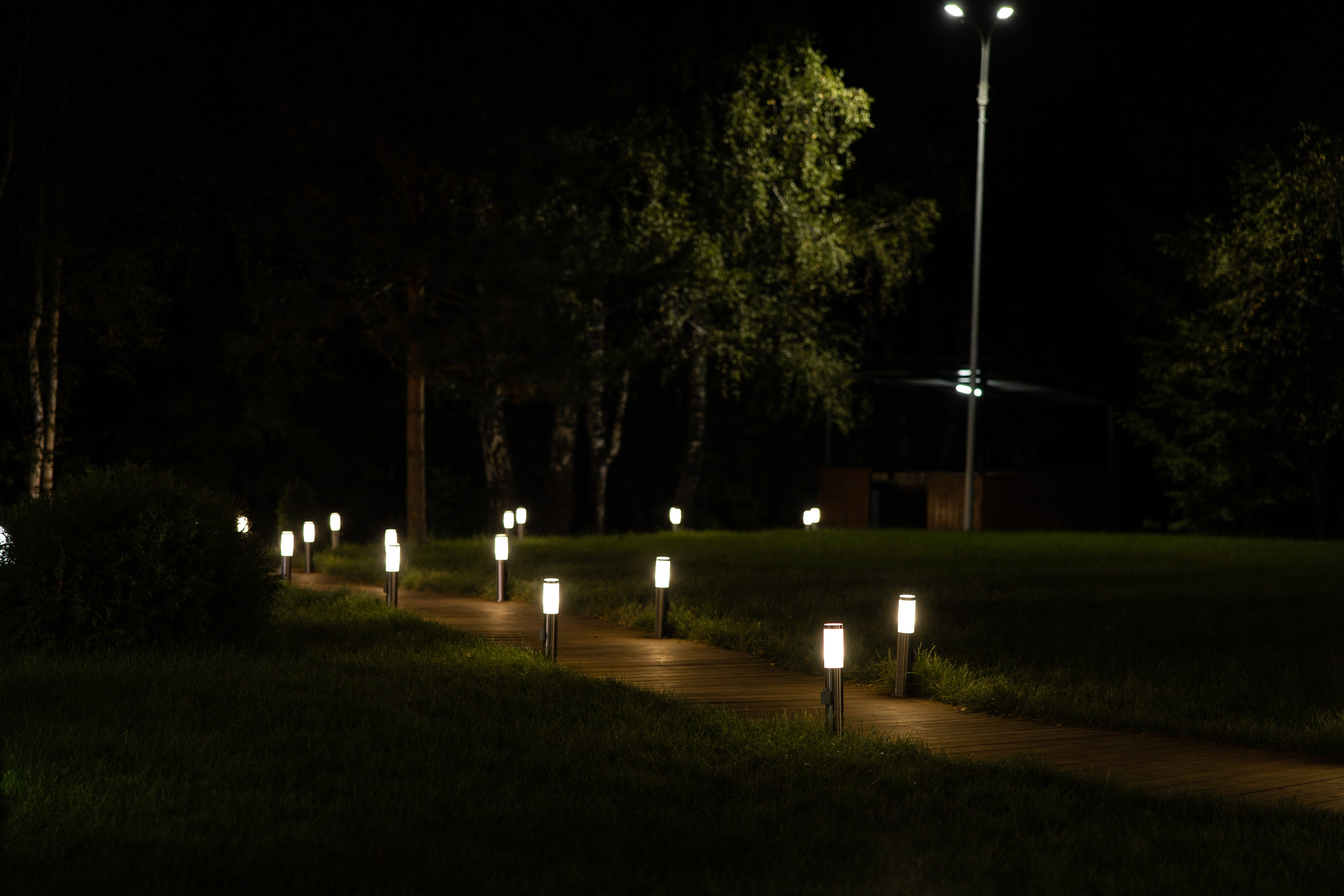 Амир+Диана. Фотограф Элла Ефимова