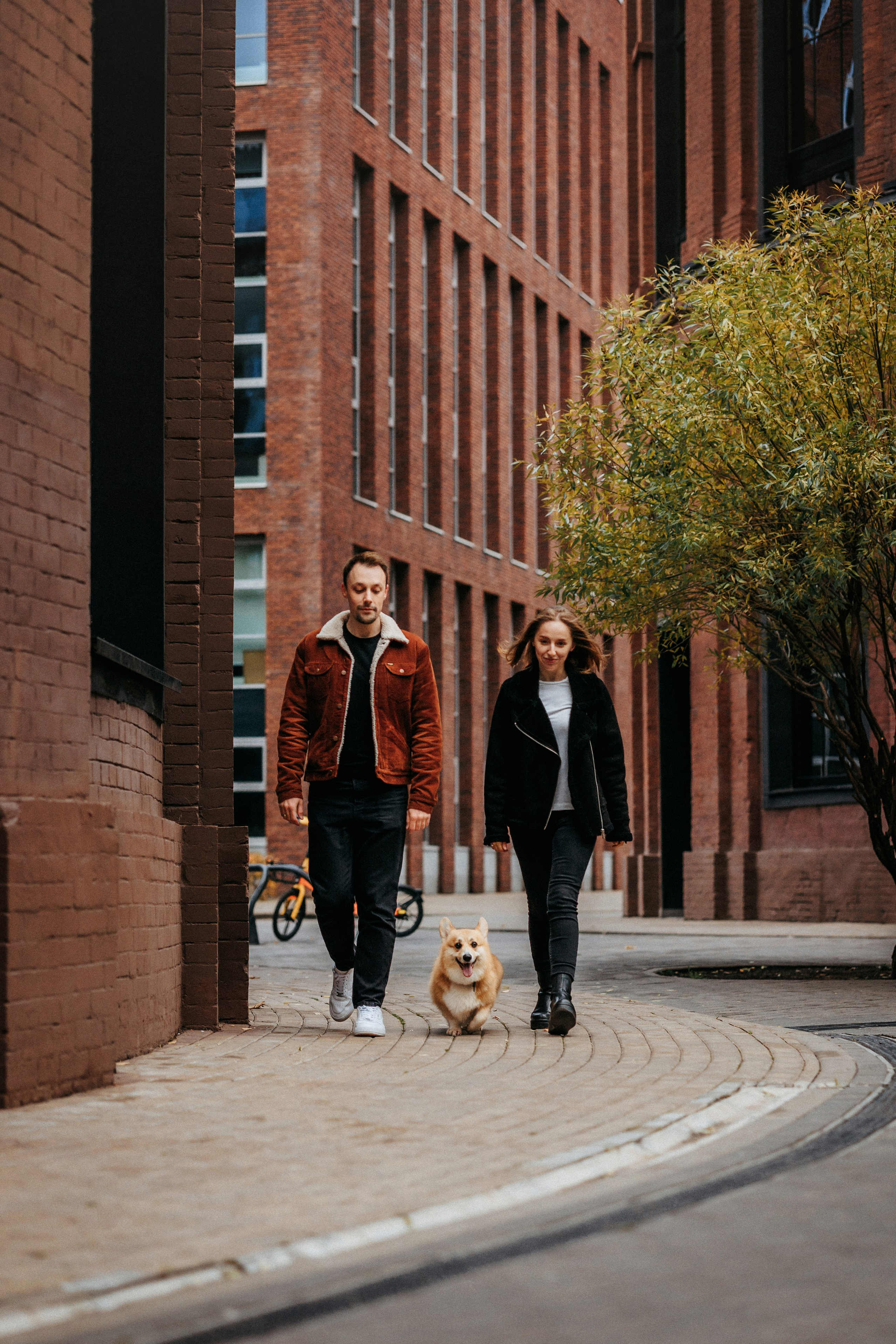 Вера, Саша и Муна. Фотограф-анималист Елена Радченко, Москва