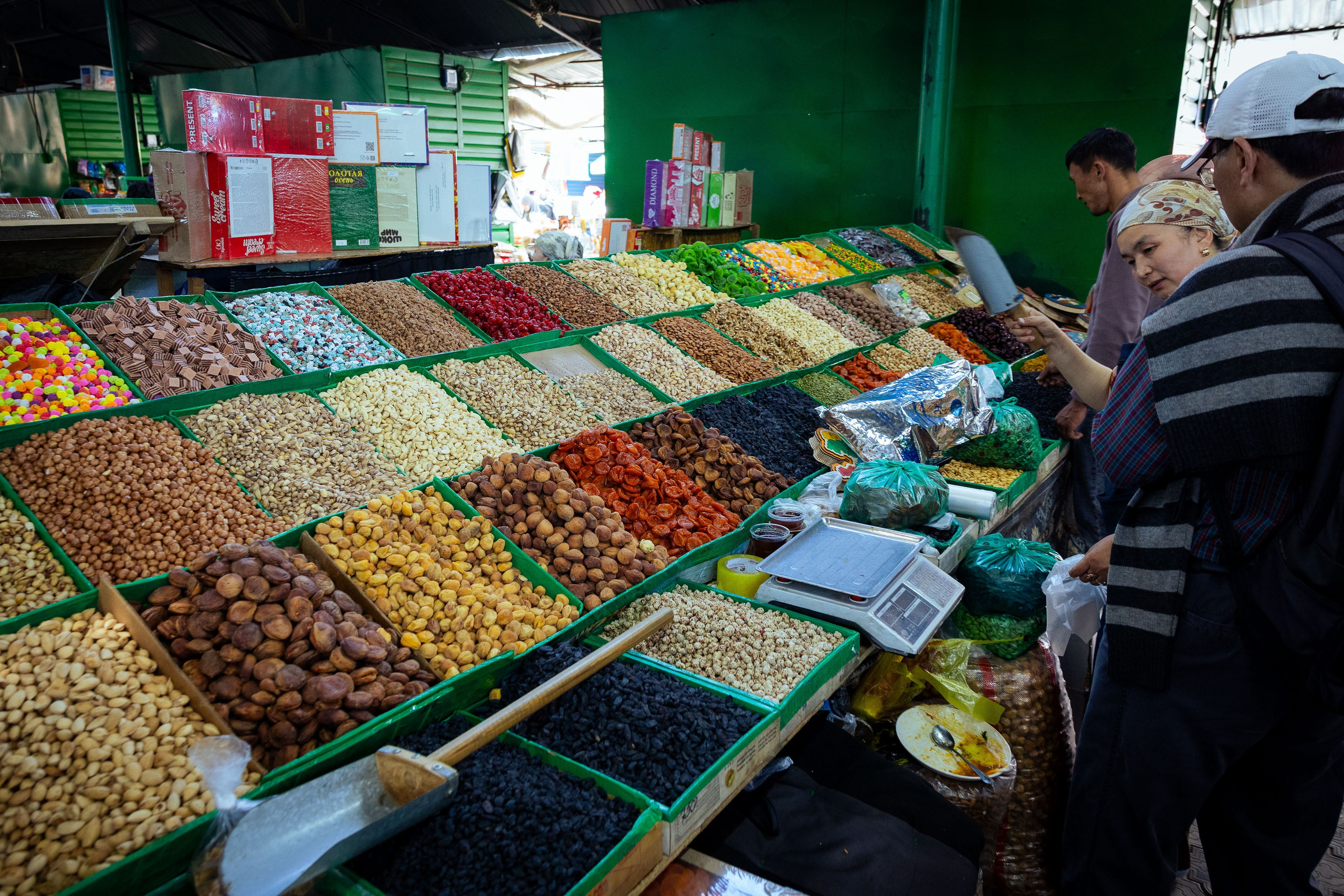 Кыргызстан (весна 2025). Фотограф Виноградов Константин