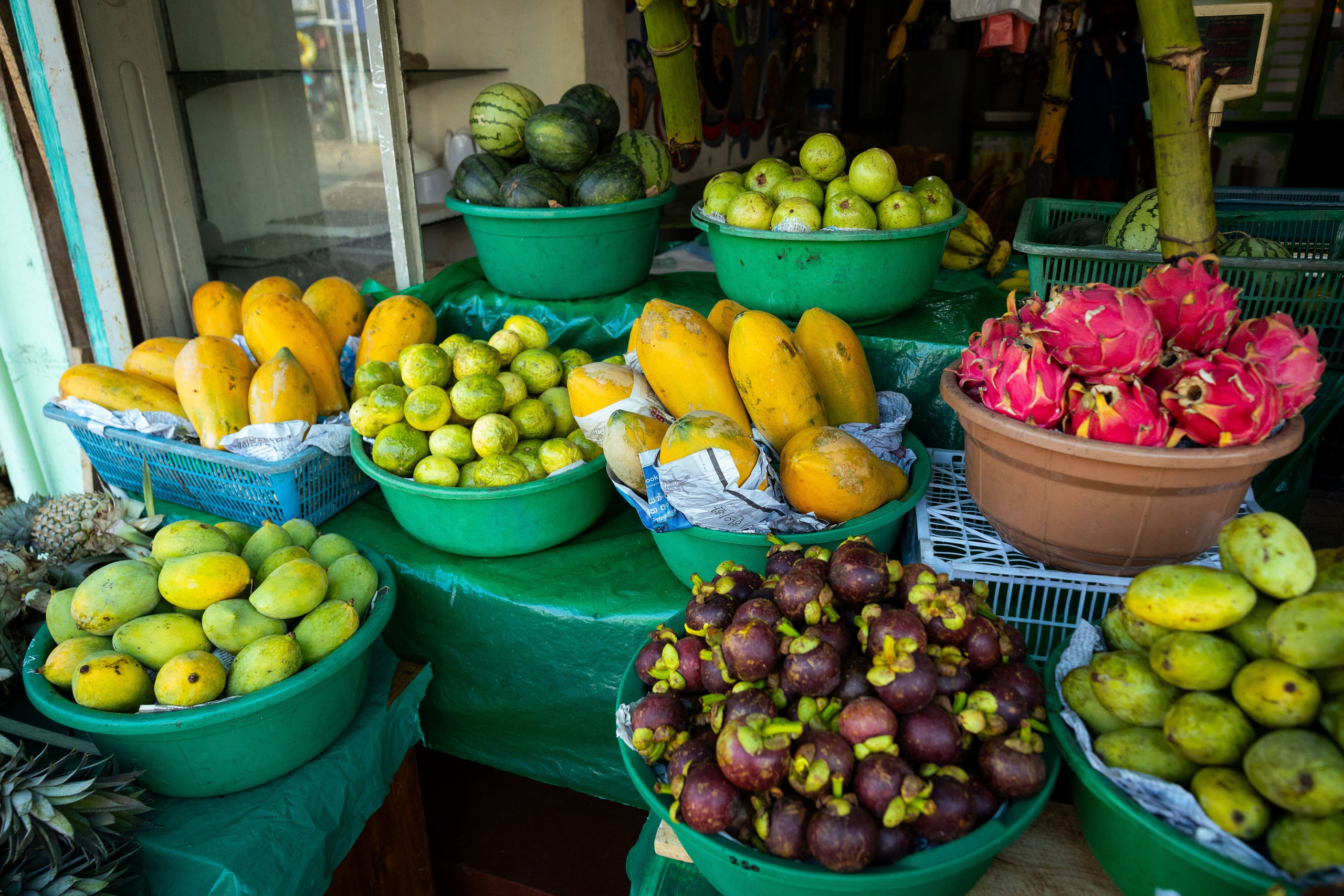 Шри-Ланка (весна 2024). Фотограф Виноградов Константин