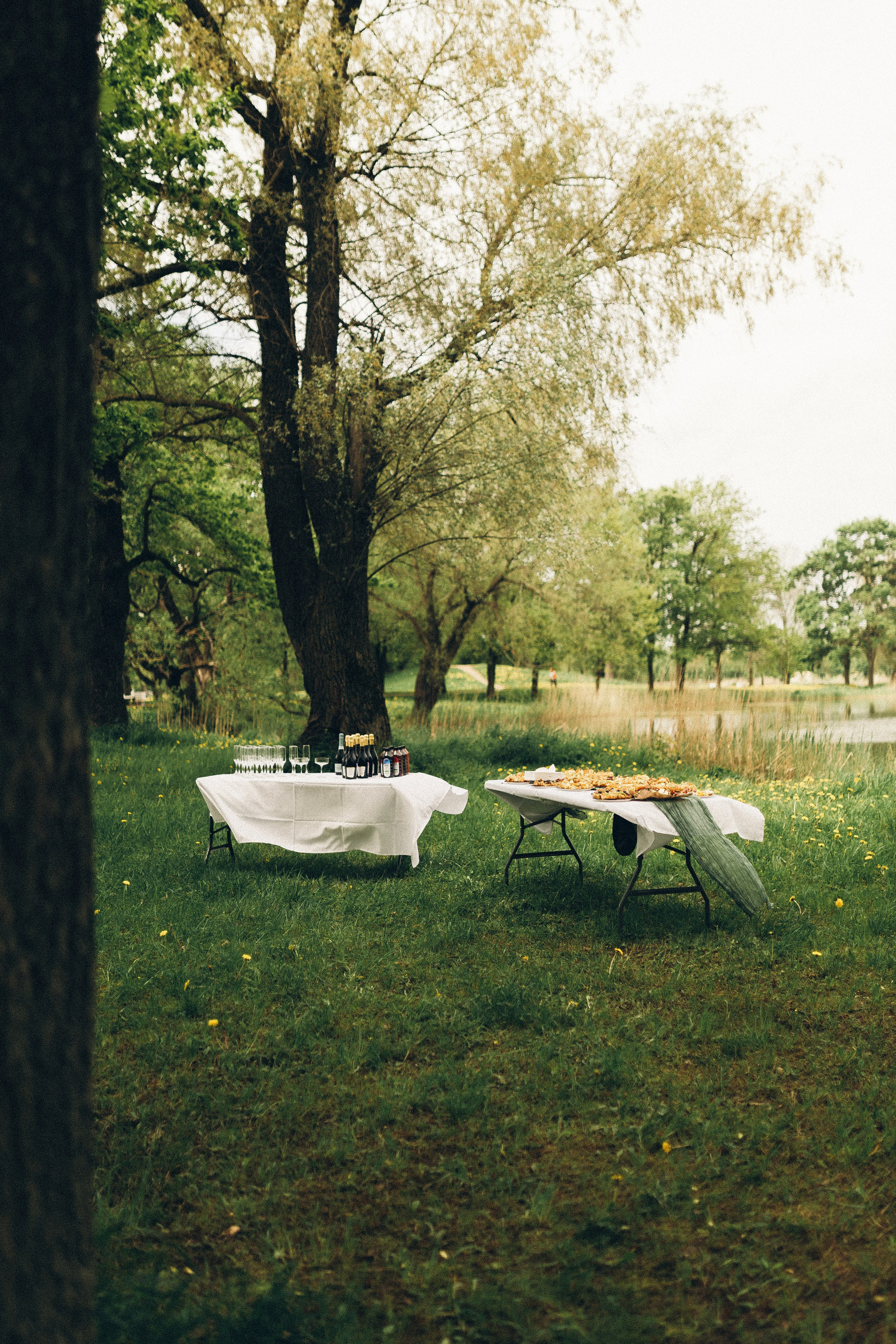 Петергоф. Фотограф Анастасия Платонова | Санкт-Петербург