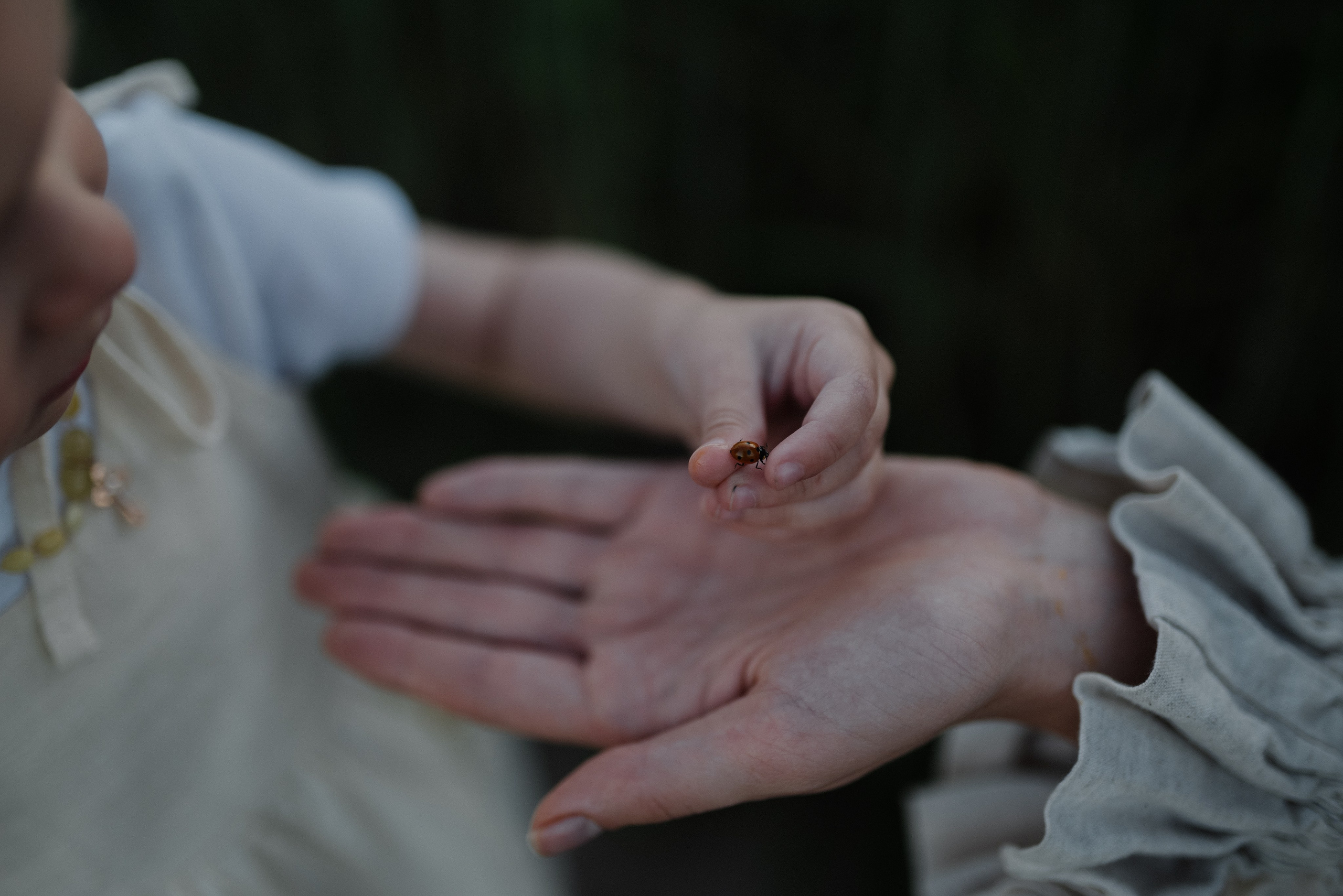 Ксюша. Фотограф Анна Абрикосова