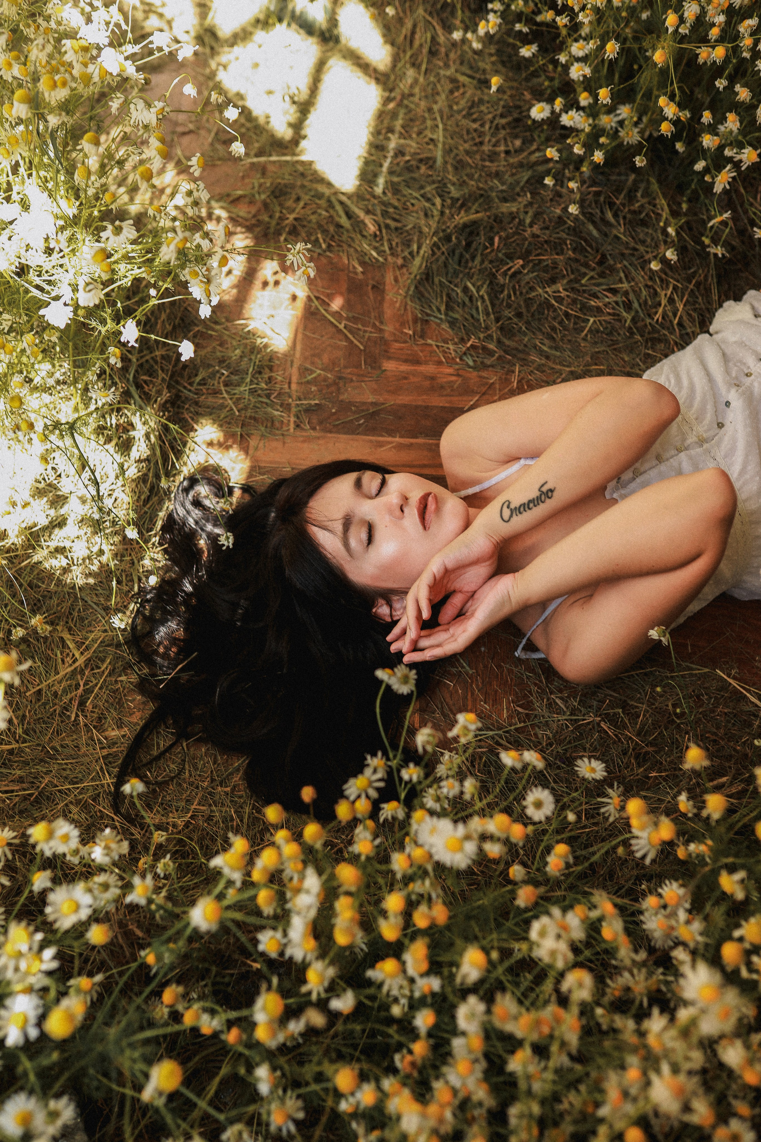 Сон в летнюю ночь | Ромашковое поле