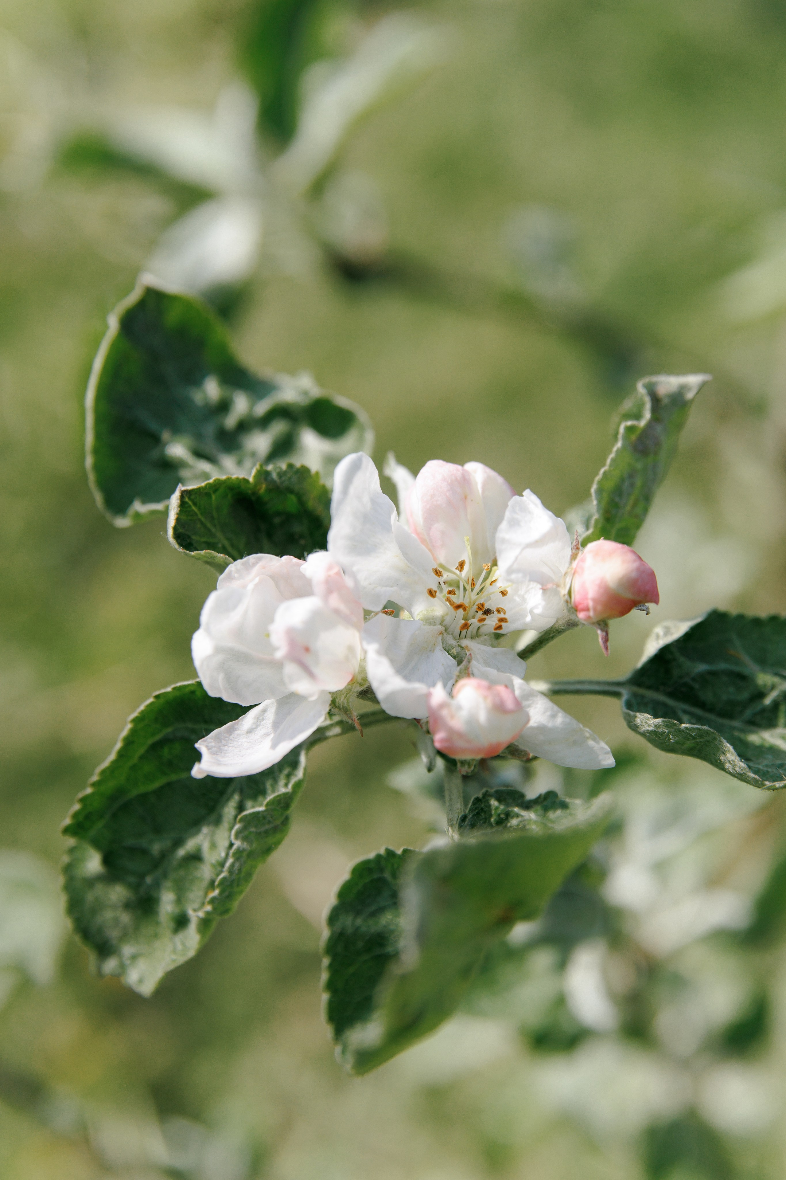 Свадьба в Ярославле — серия парк отель Мазай, выездная регистрация, кавер группа | Портфолио. Свадебный фотограф в Москве, Ярославле Виталий Квант