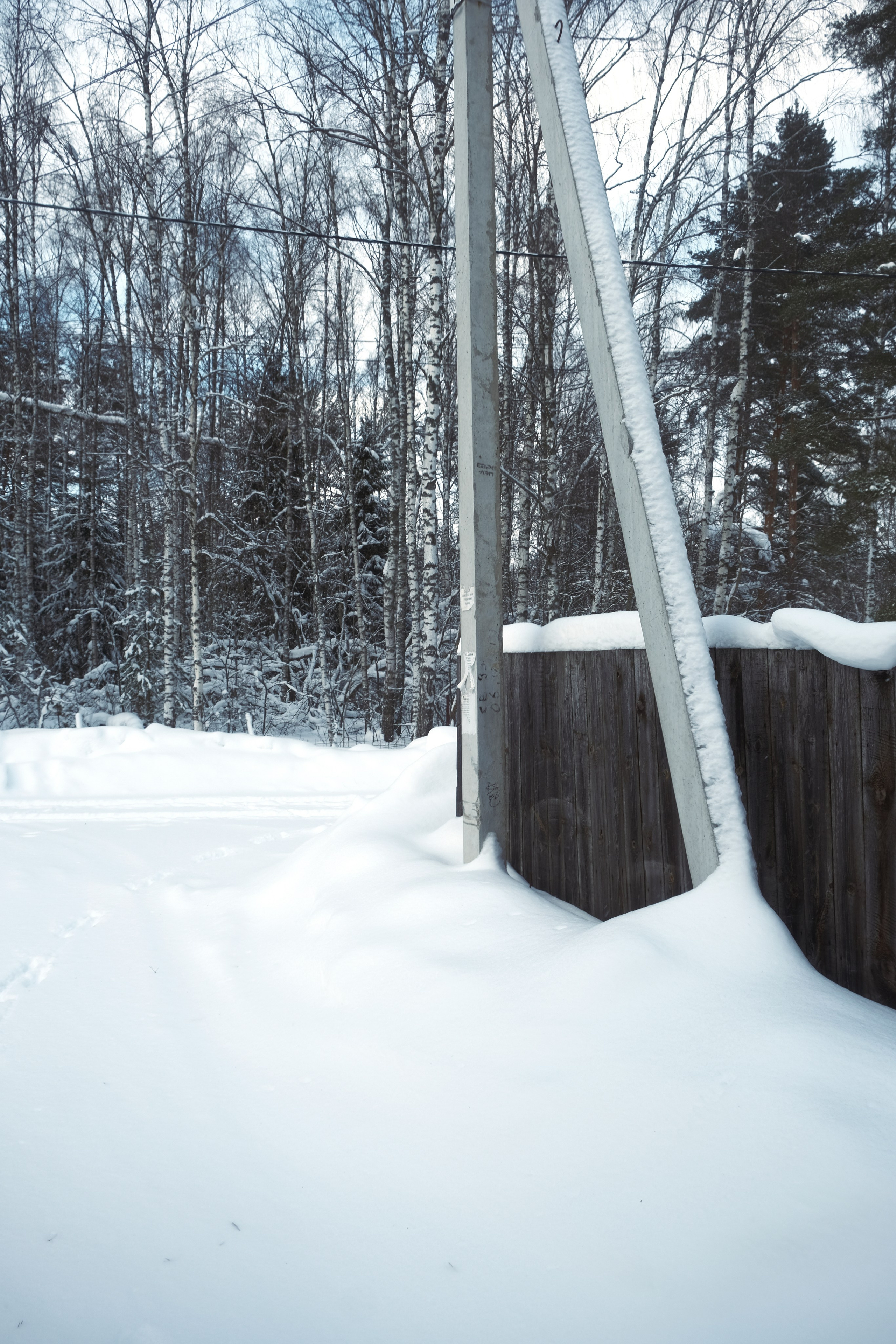 Под Москвой. Фотограф Настя Лев