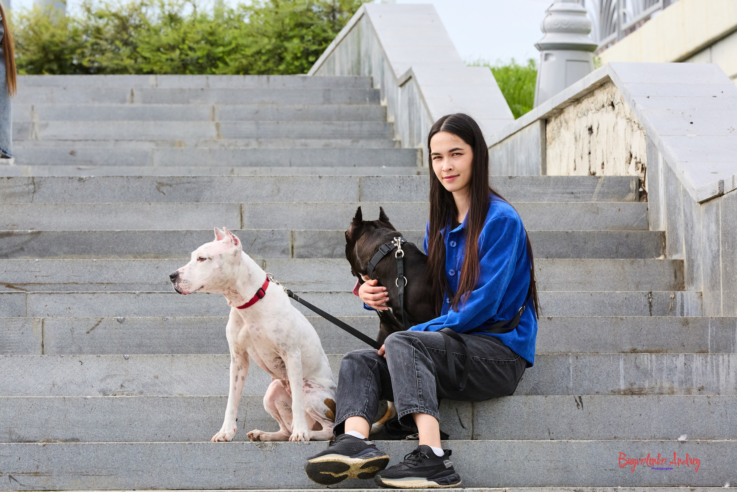 Проект фотопрогулка с хвостиком. Buyvolenko Andrey