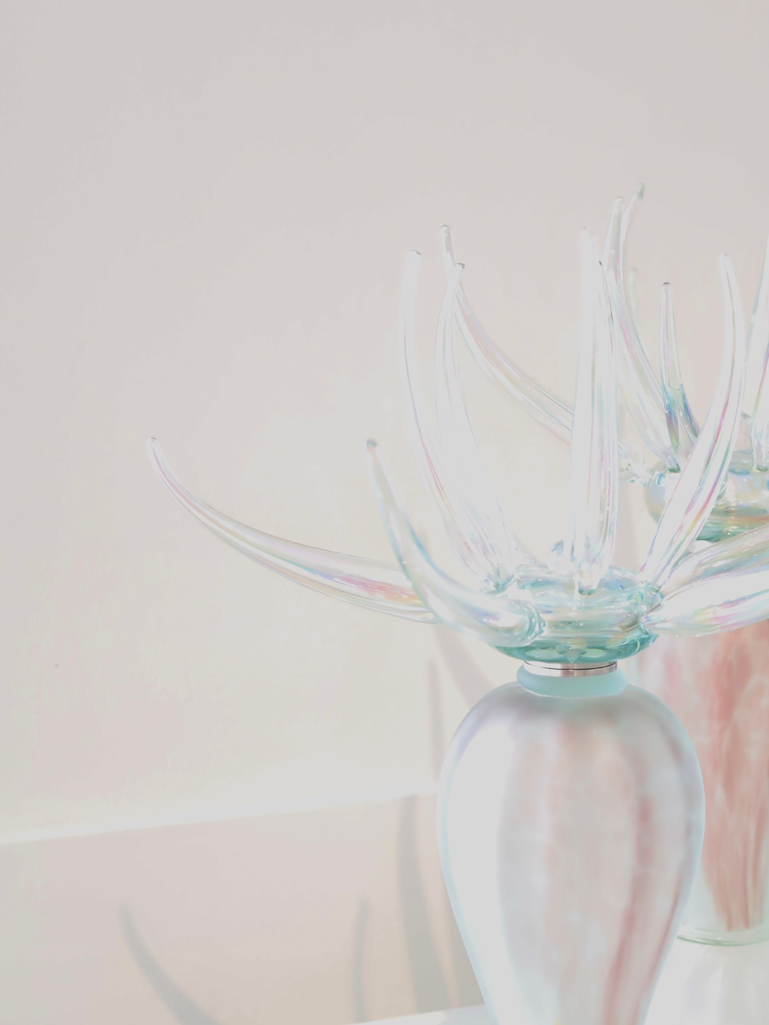 Выставка Степени прозрачности. Фотосессии и репортаж — Фотограф в Москве — Рина Серёгина