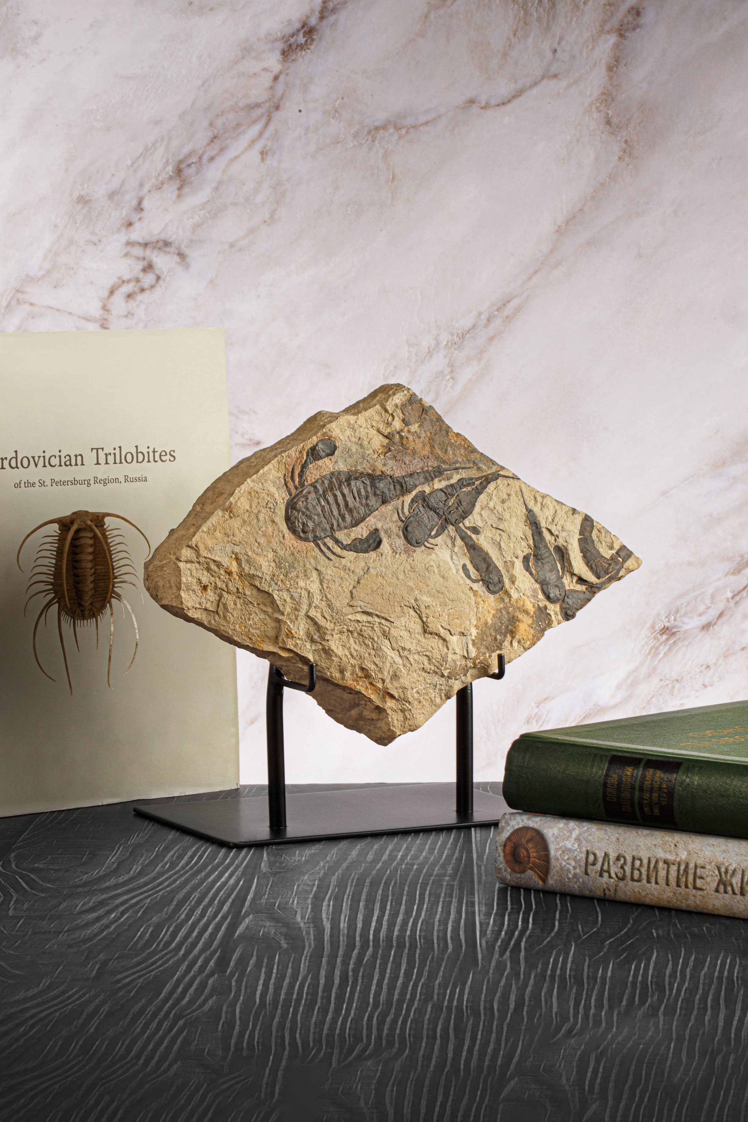 Профессиональная обработка натуральных камней, минералов и ископаемых | Студия SVITHART