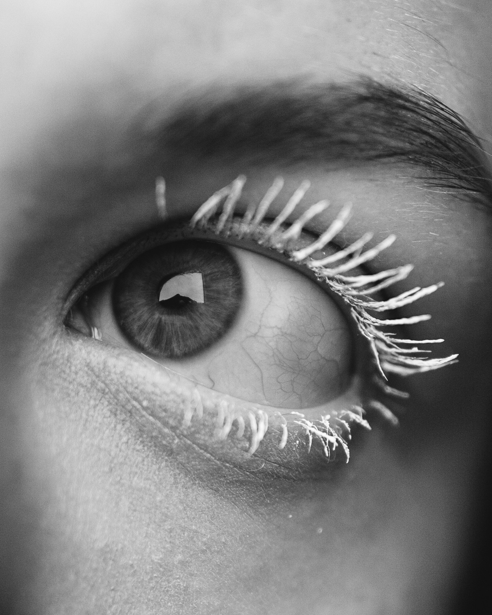 ПРЕСЕТЫ. Елизавета Федотова | фэшн-фотограф