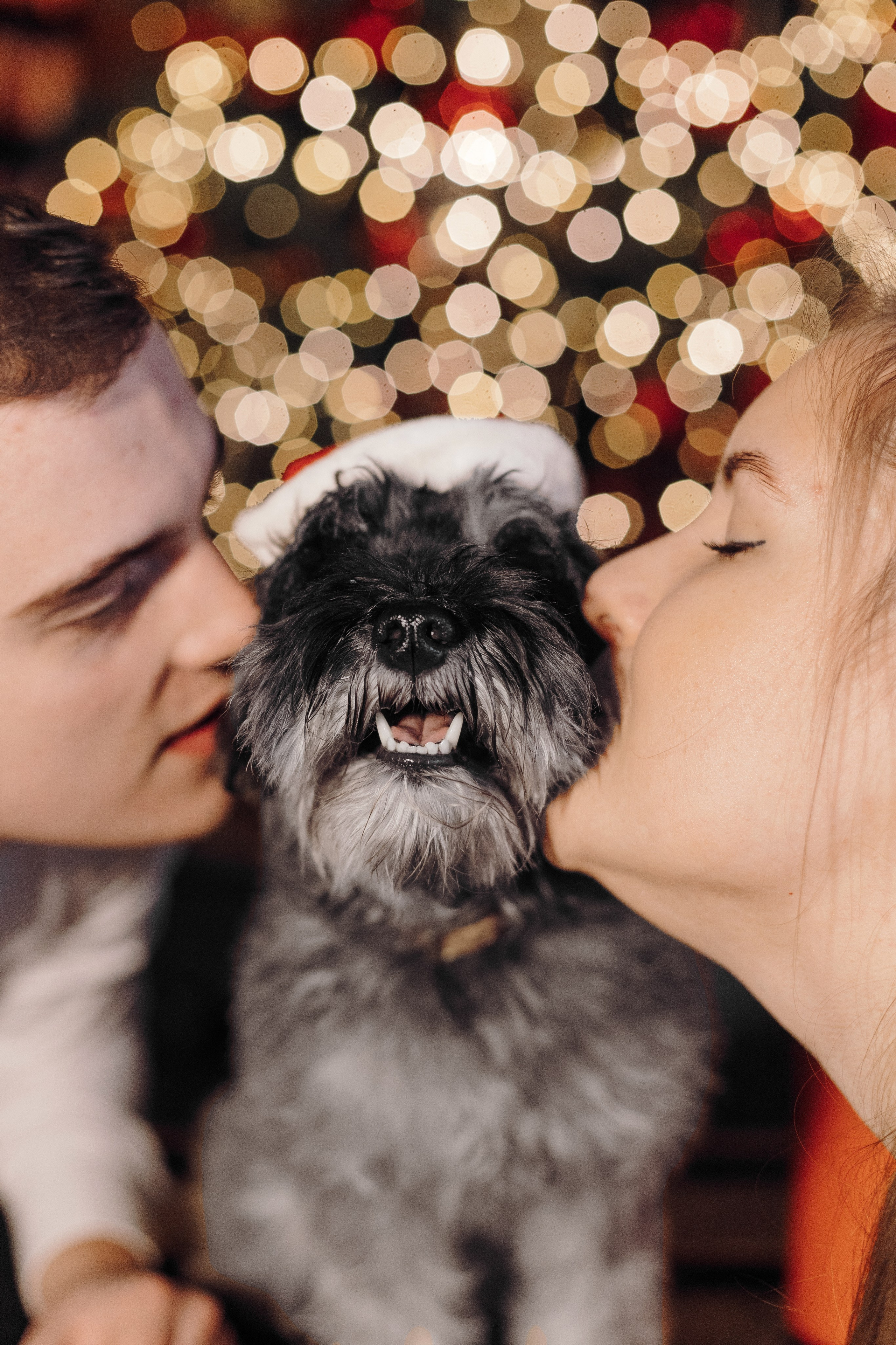 Новогодний Фотодень. Фотограф анималист Кристина Карпова, Москва