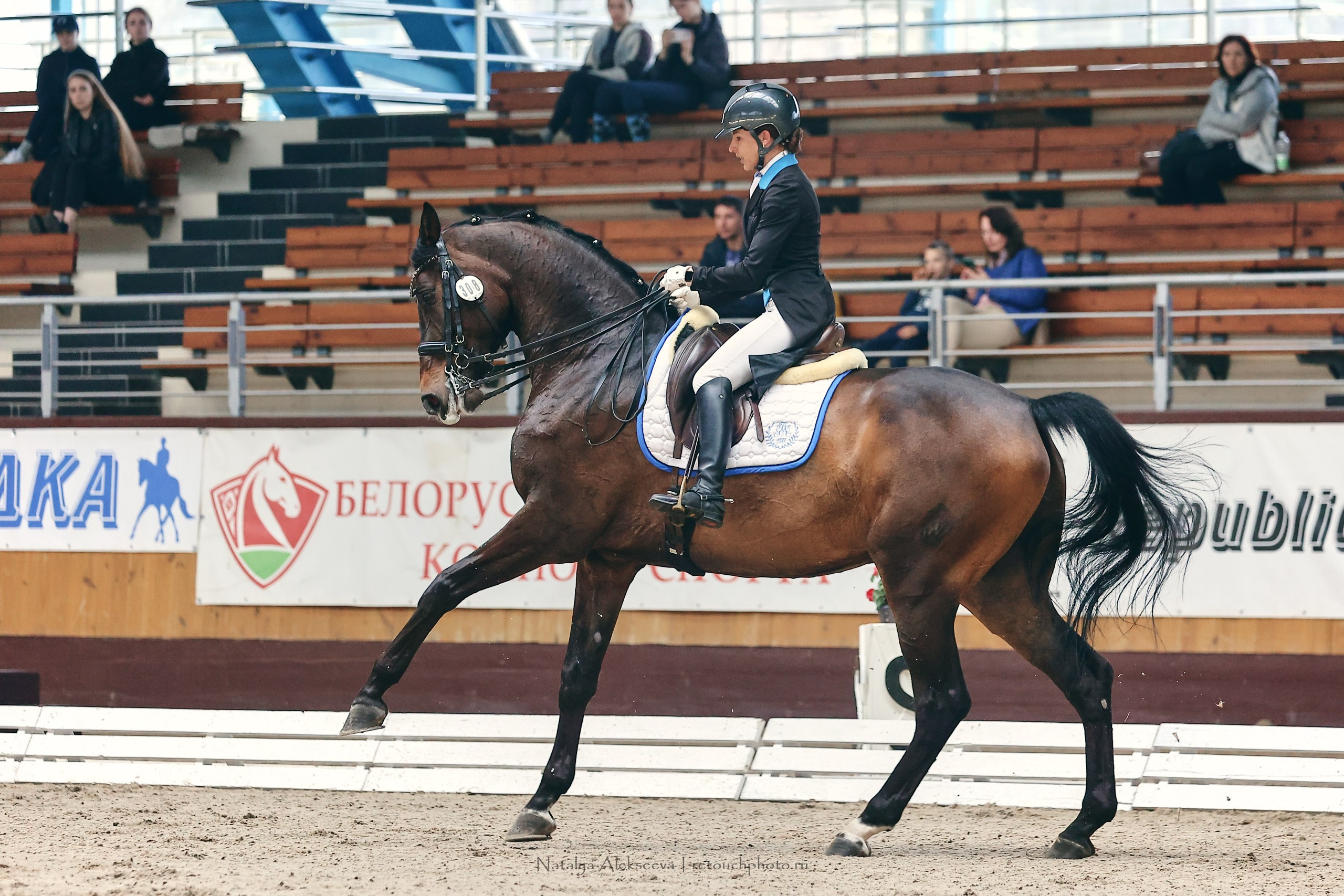 Этап Кубка Евразии по выездке, Минск | 04'2023. Репортажный фотограф и ретушер в Москве Наталья Алексеева