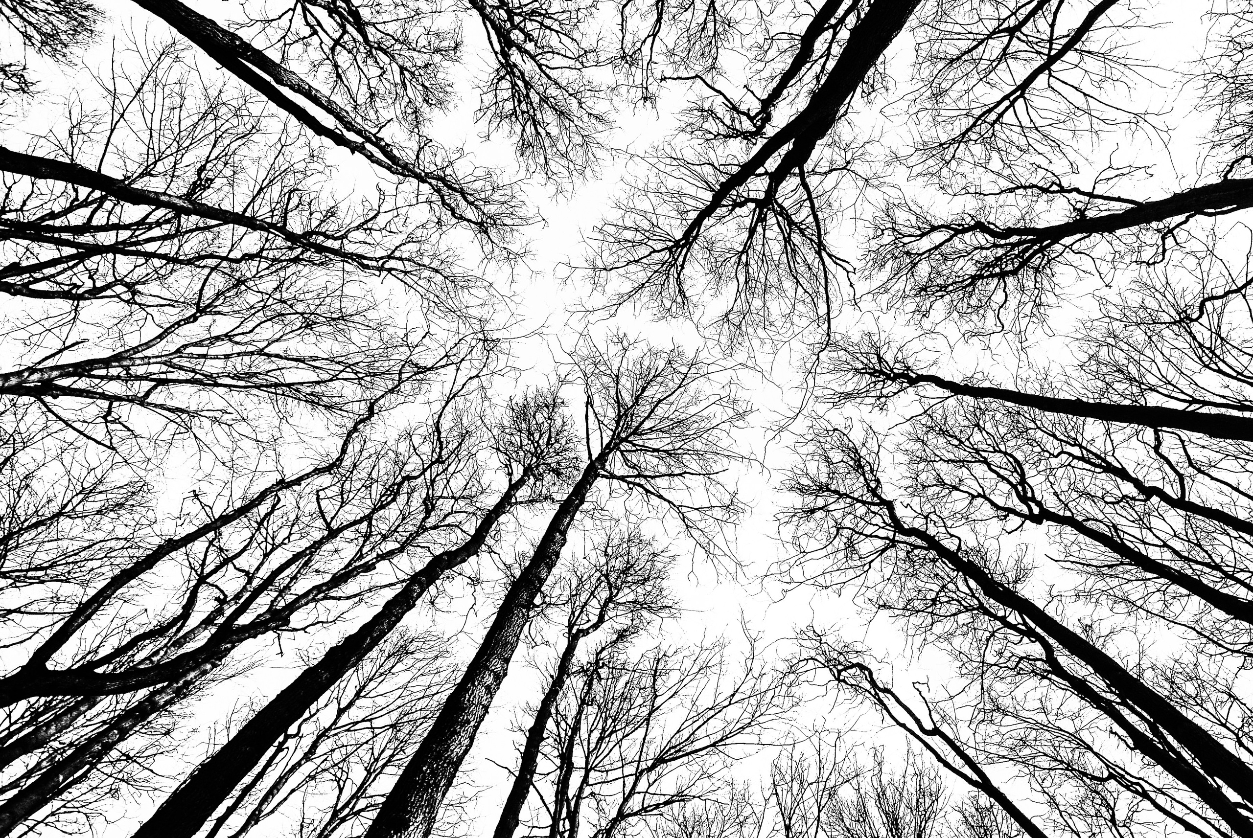 Эксперименты. Фотосессии и репортаж — Фотограф в Москве — Рина Серёгина