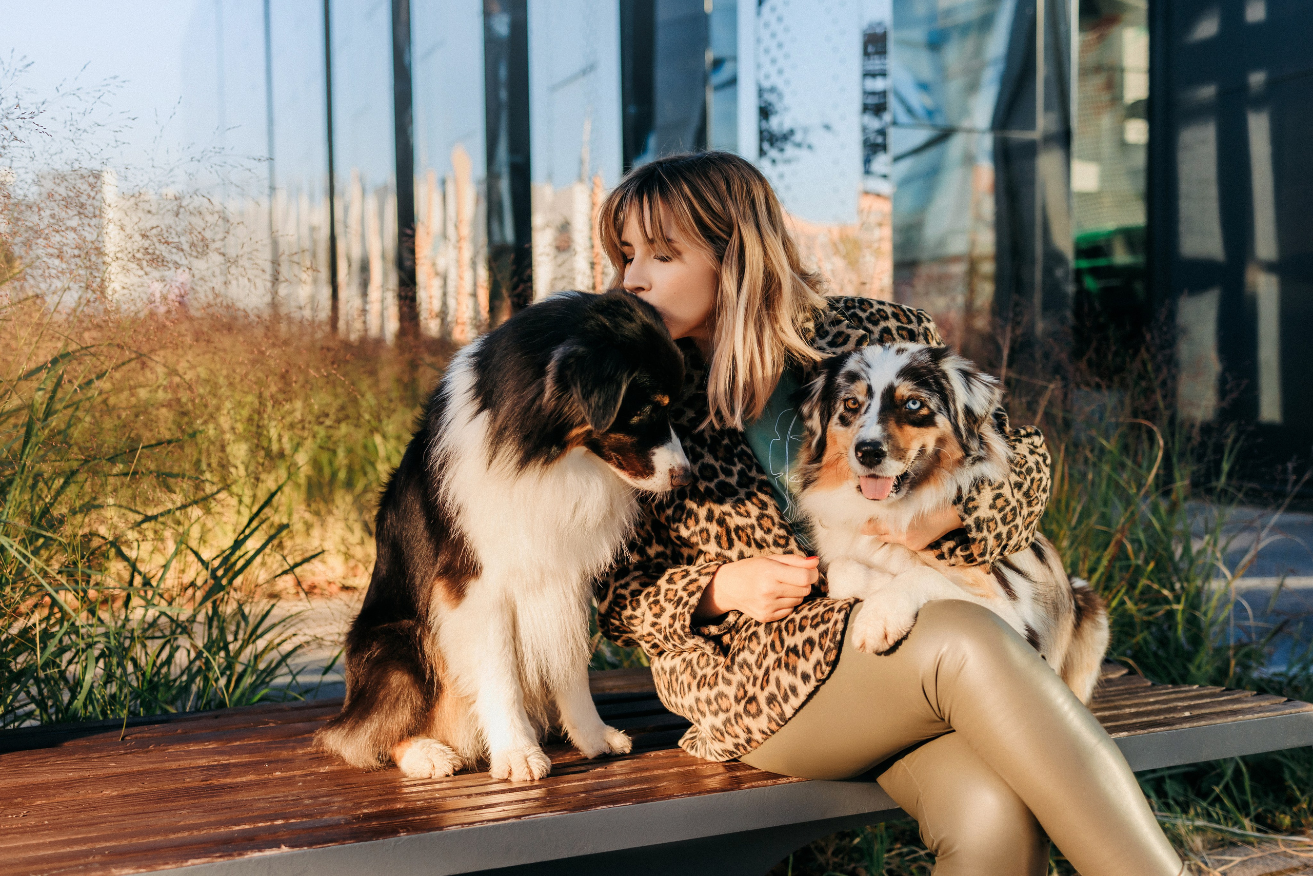 Аня, Чарли и Ева. Фотограф-анималист Елена Радченко, Москва
