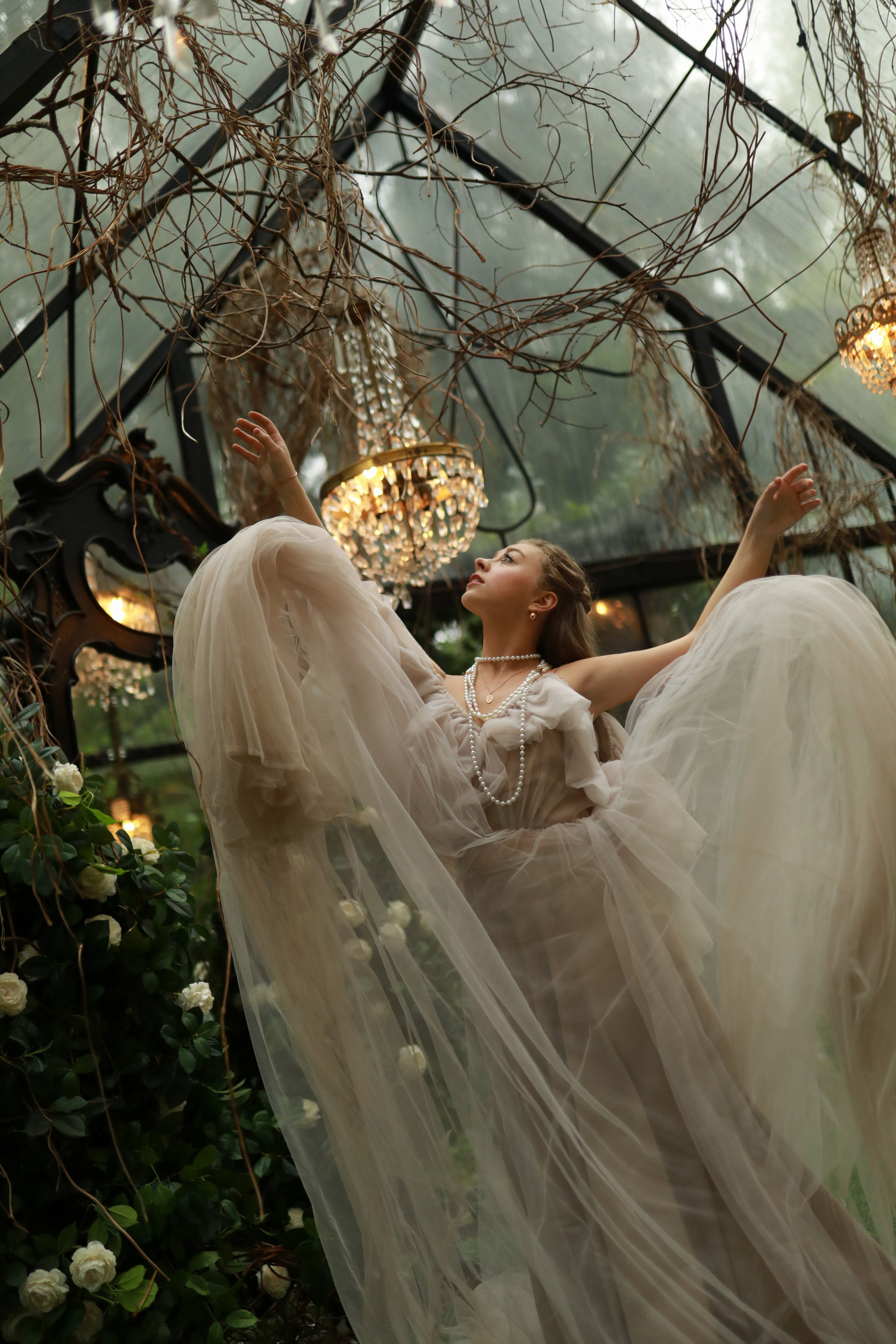 Зачарованный лес